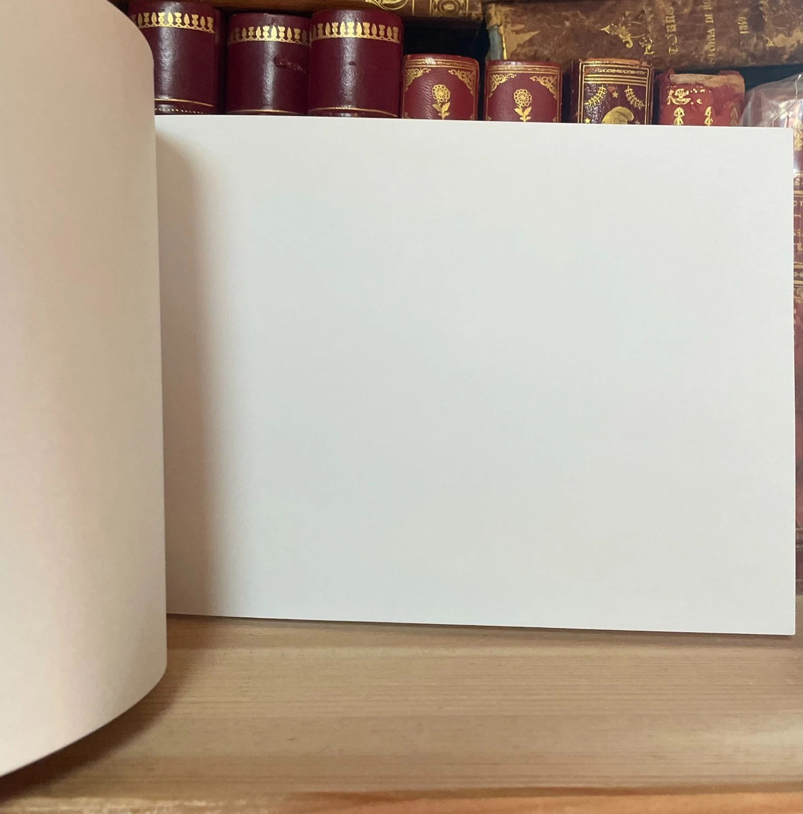 L'immagine a stampa di San Luigi Gonzaga Arcari Editori 2000 volume II - immagine 4