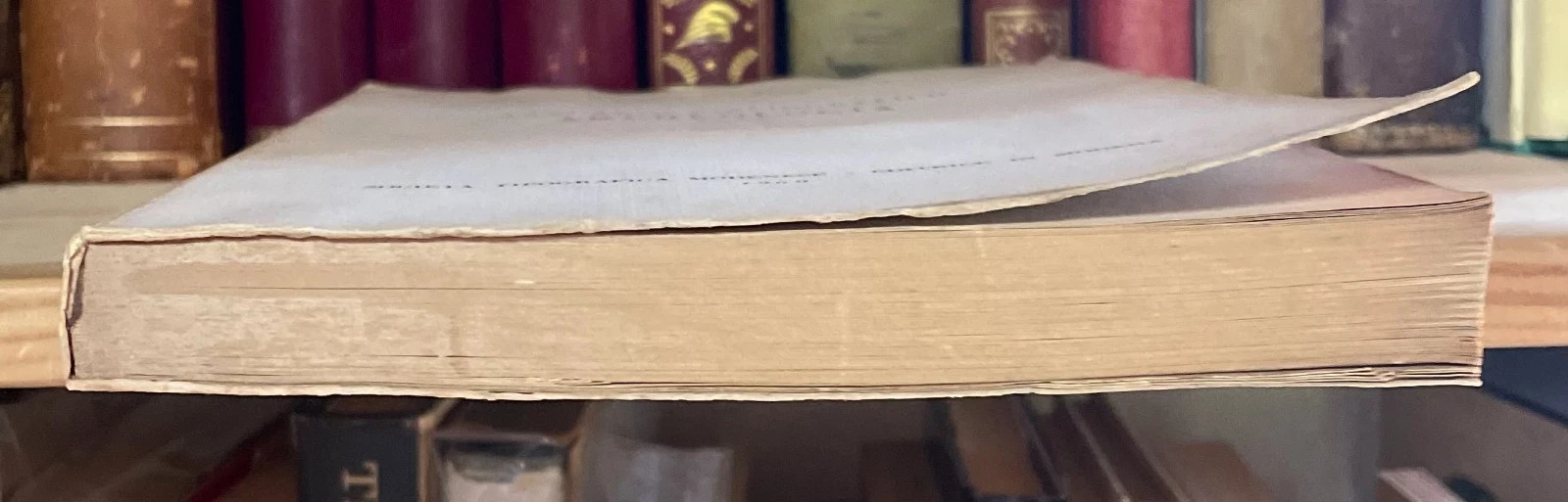 Condividi Cesare D'onofrio Annuario Bibliografico di Archeologia 1957 (anno VI) - immagine 8