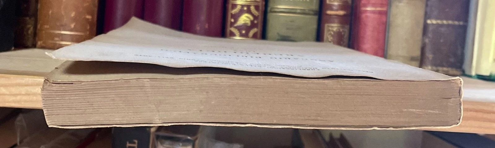 Condividi Cesare D'onofrio Annuario Bibliografico di Archeologia 1957 (anno VI) - immagine 9