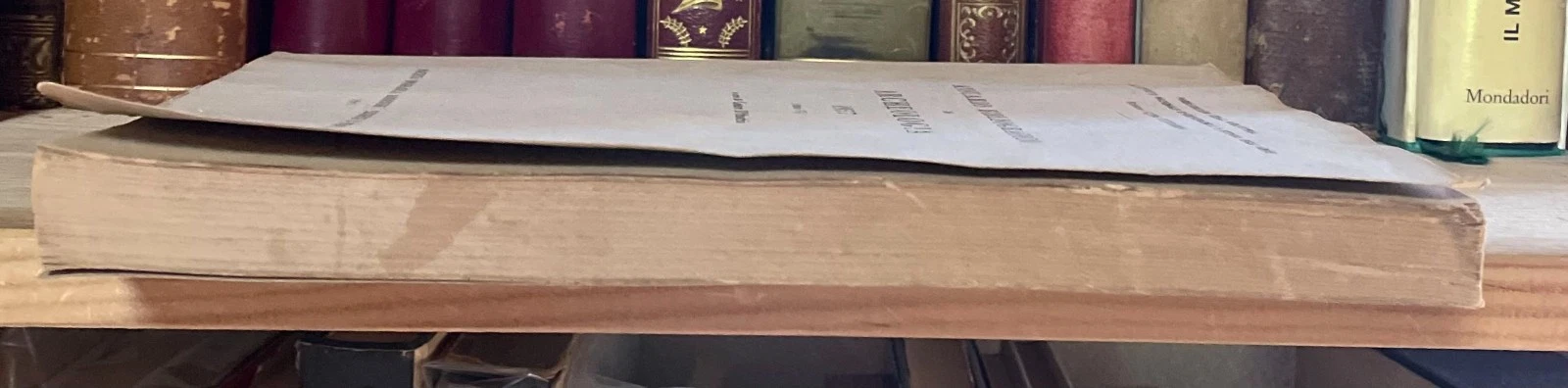 Condividi Cesare D'onofrio Annuario Bibliografico di Archeologia 1957 (anno VI) - immagine 10