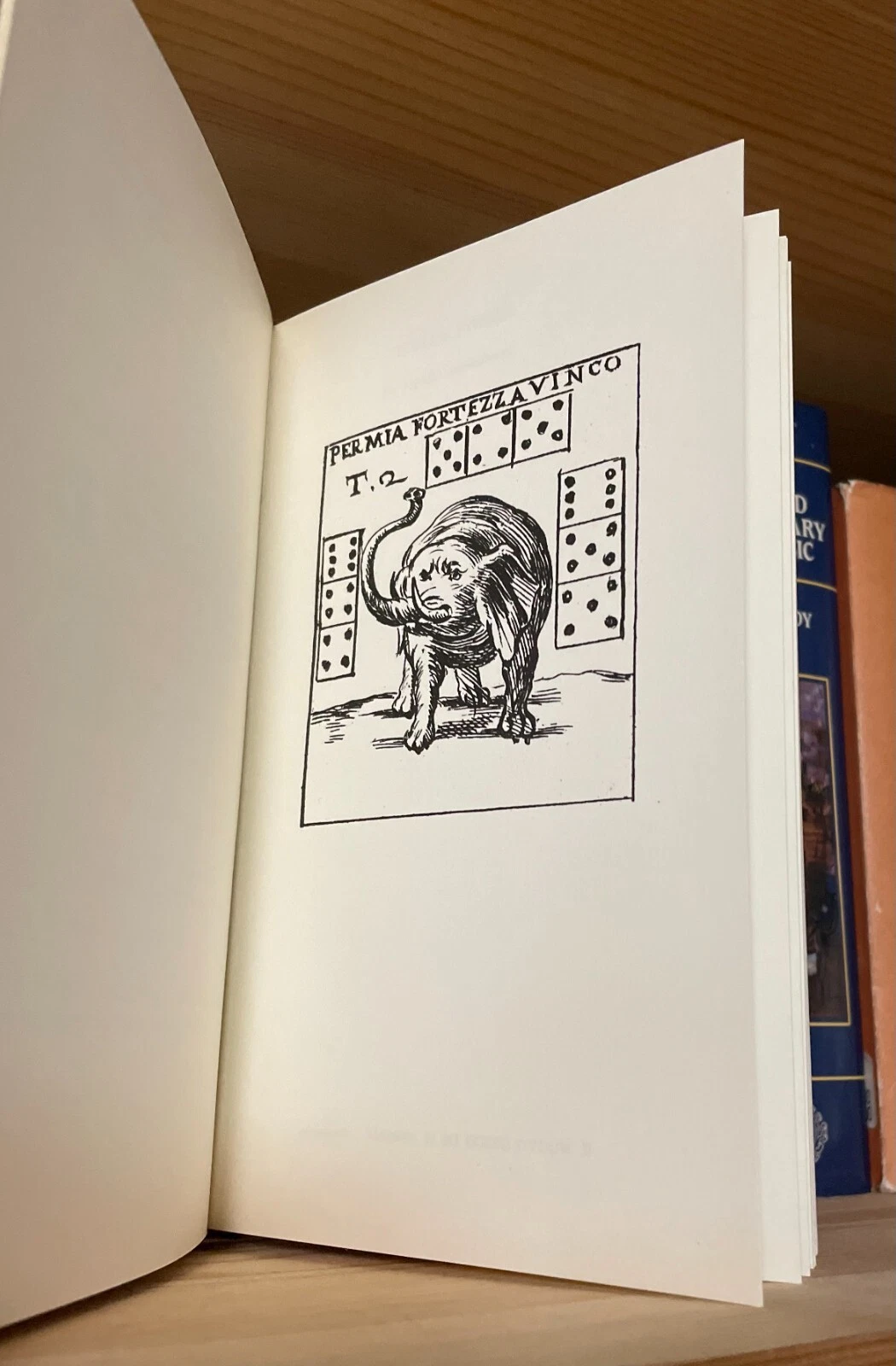 Chitarrella Mediatore e Tressette Edizioni Moderne Canesi 1960 - immagine 8