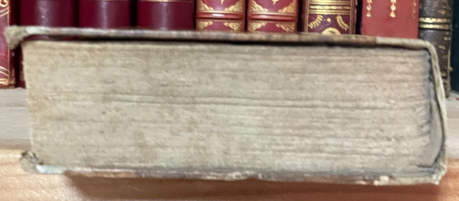 Histoire du Pape Grégoire VII et de son siècle par J. Voigt troisième ed. 1842 - immagine 21