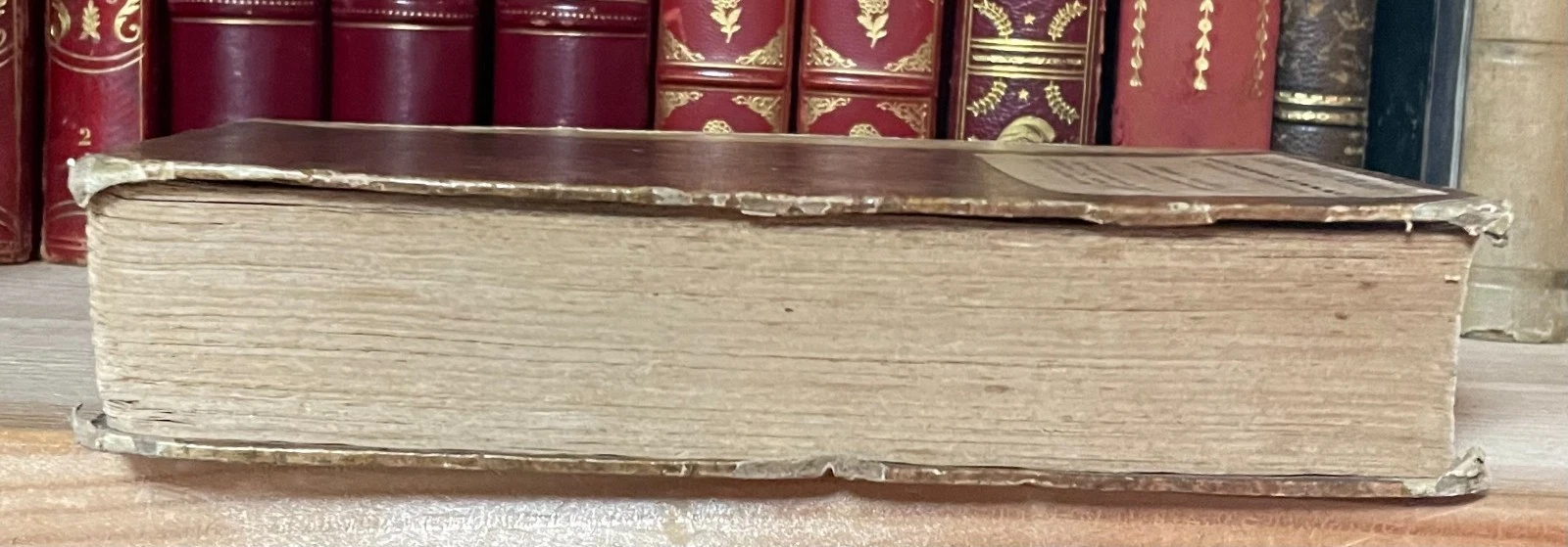 Histoire du Pape Grégoire VII et de son siècle par J. Voigt troisième ed. 1842 - immagine 22