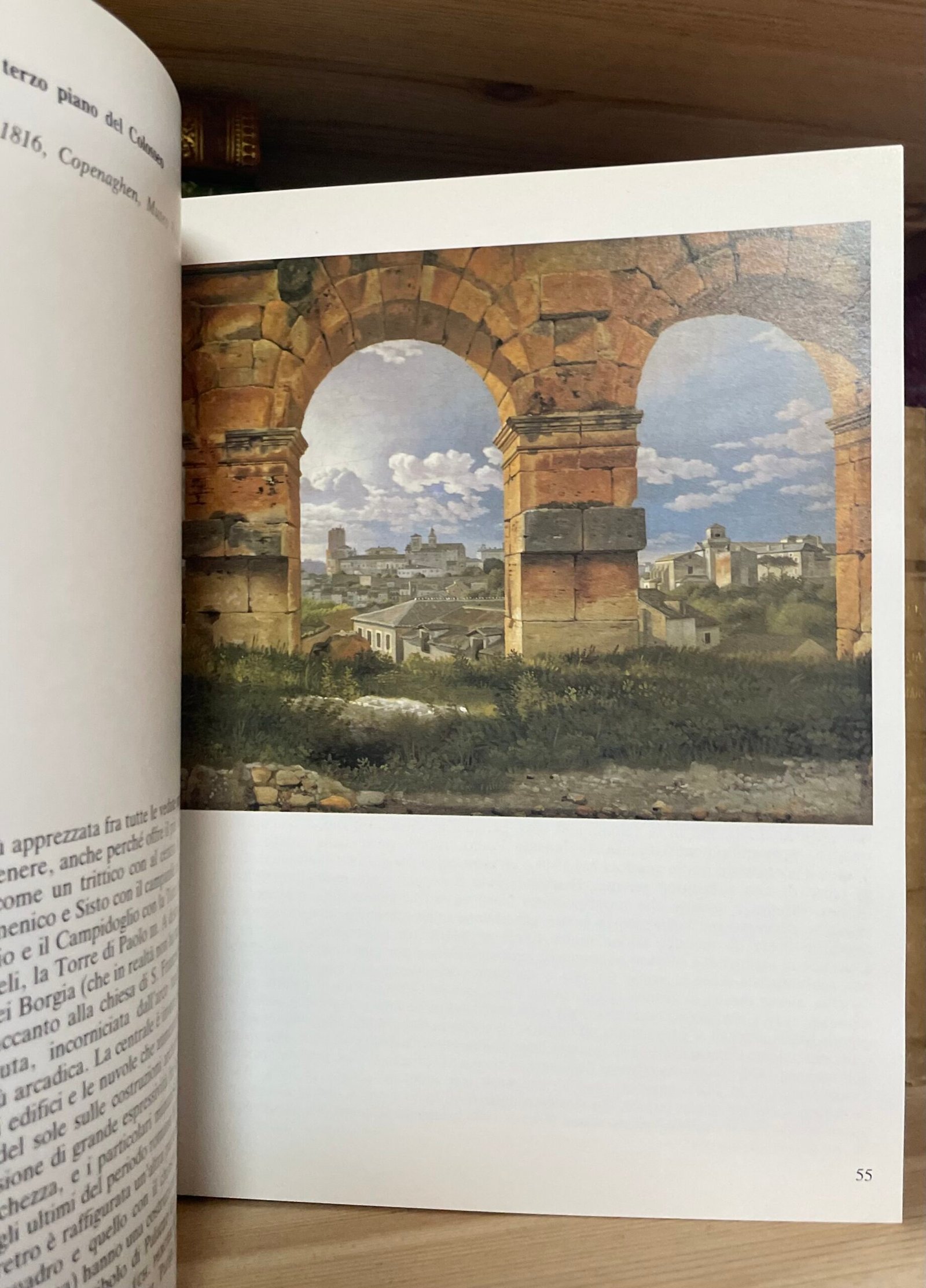 Olsen Roma com'era nei dipinti degli artisti danesi dell'Ottocento Newton - immagine 6