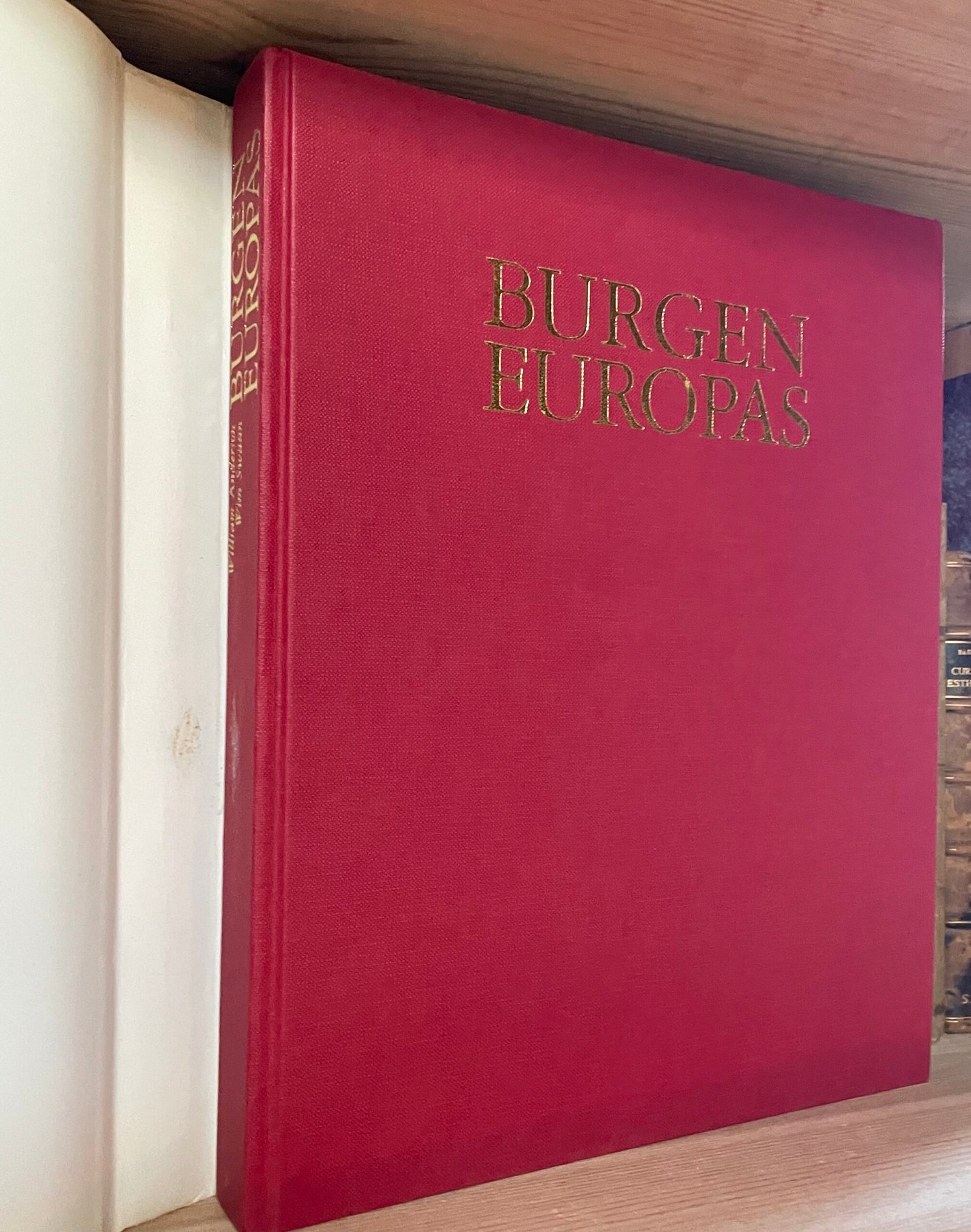 William Anderson Burgen Europas Parkland Veralg Stuttgart 1980 - immagine 4