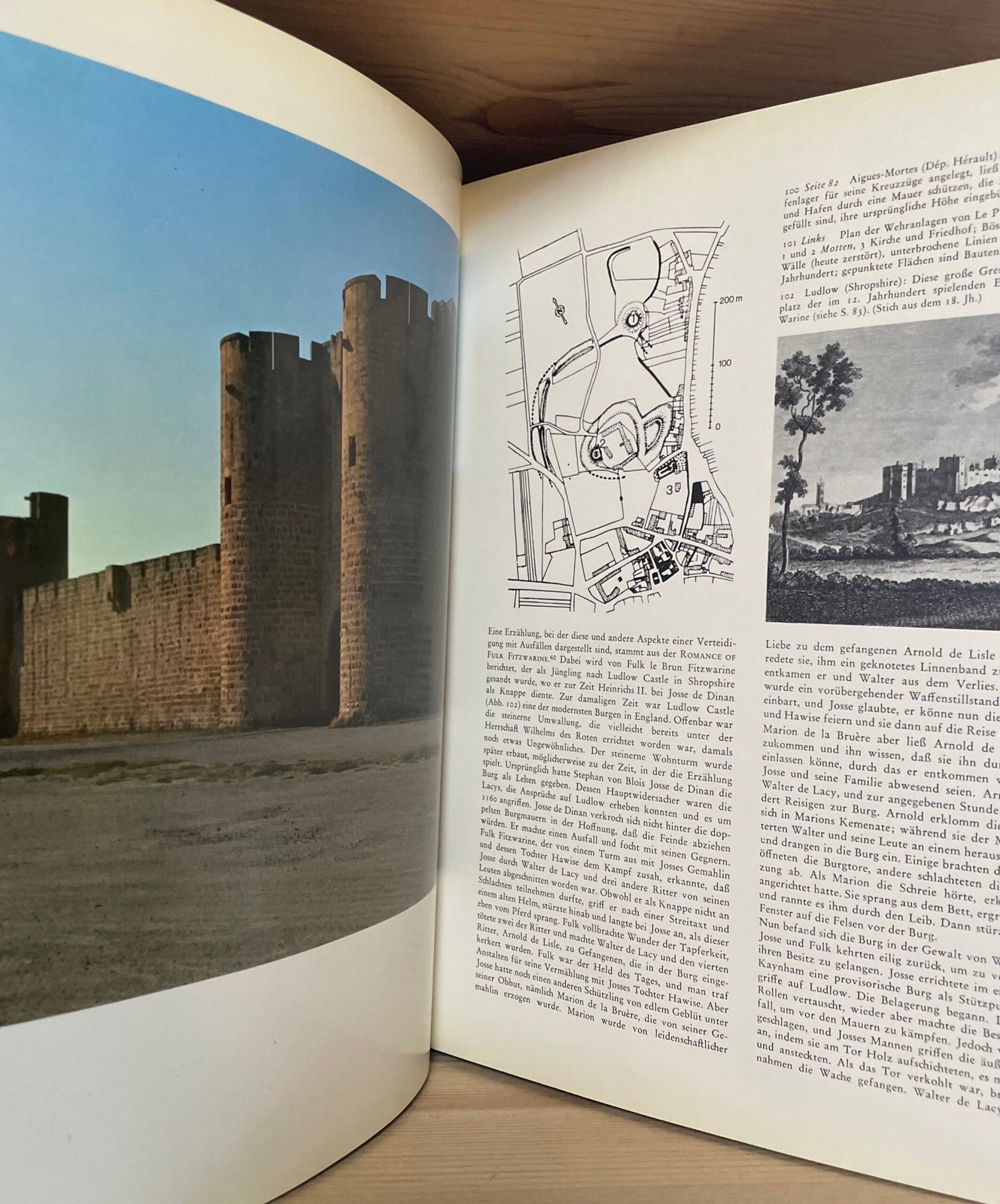 William Anderson Burgen Europas Parkland Veralg Stuttgart 1980 - immagine 17