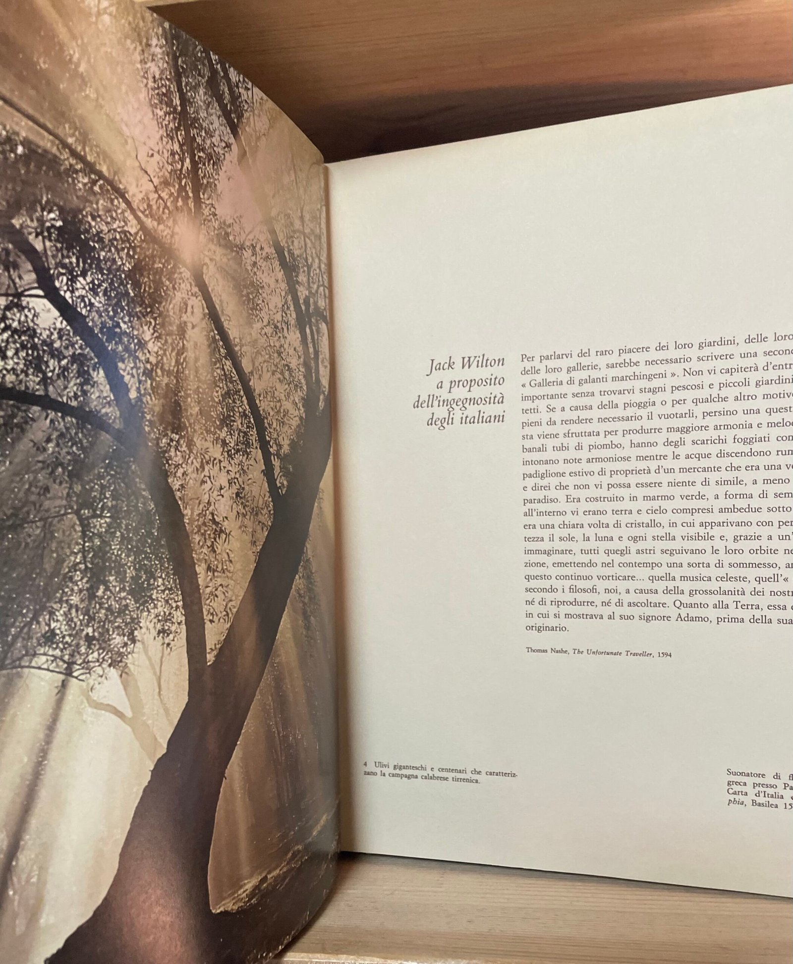Roloff Beny Italia testo di A. Thwaite epilogo di di Gore Vidal Fabbri 1976 - immagine 11