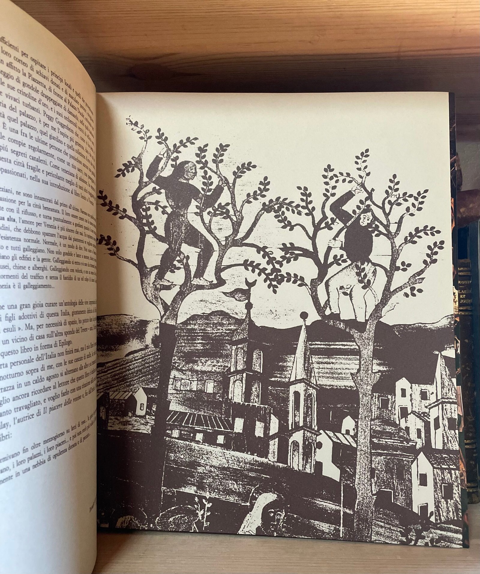 Roloff Beny Italia testo di A. Thwaite epilogo di di Gore Vidal Fabbri 1976 - immagine 14