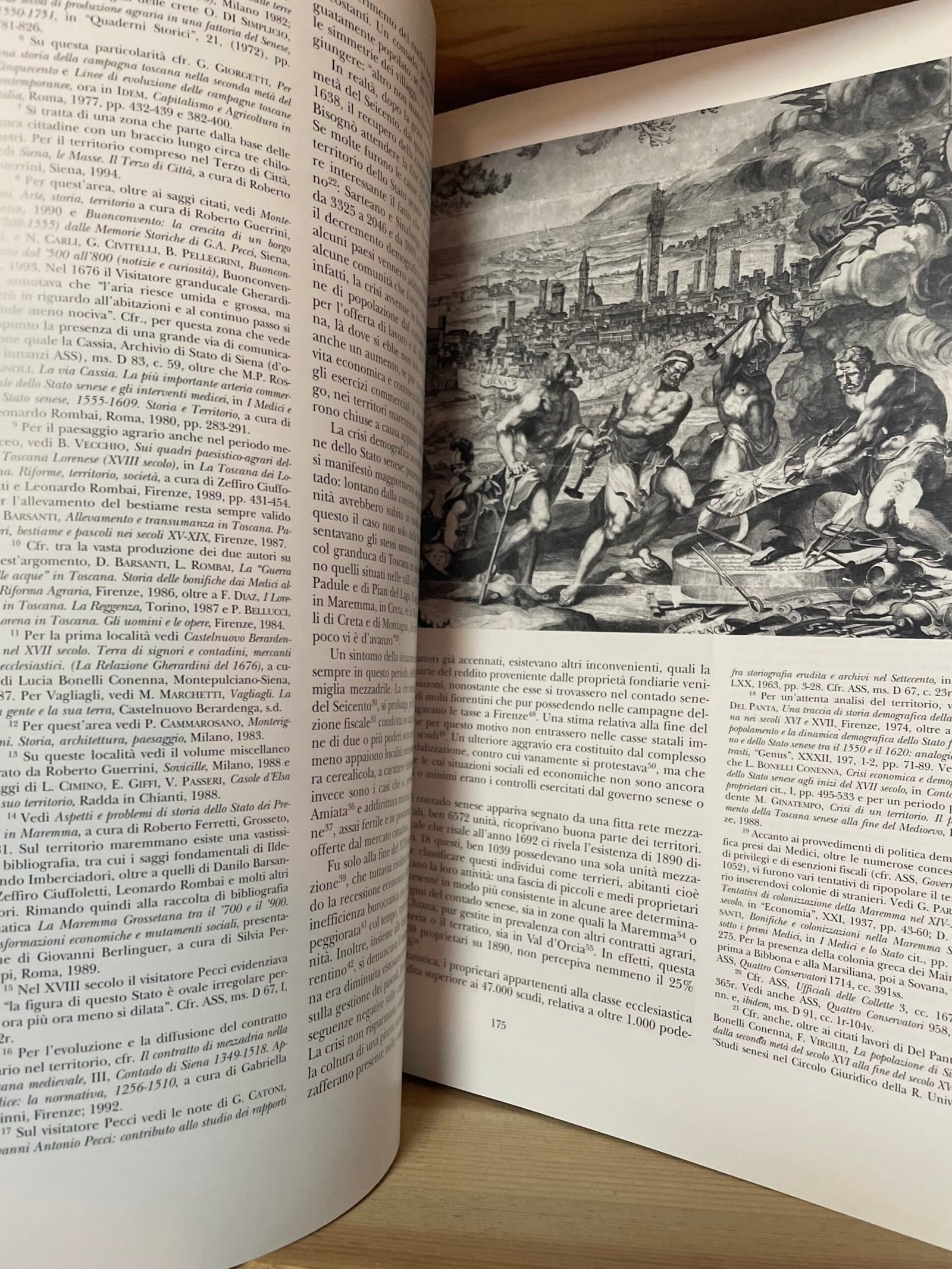 AA.VV. I libri dei leoni La nobiltà di Siena in età medicea 1557-1737 MPS 1996 - immagine 9
