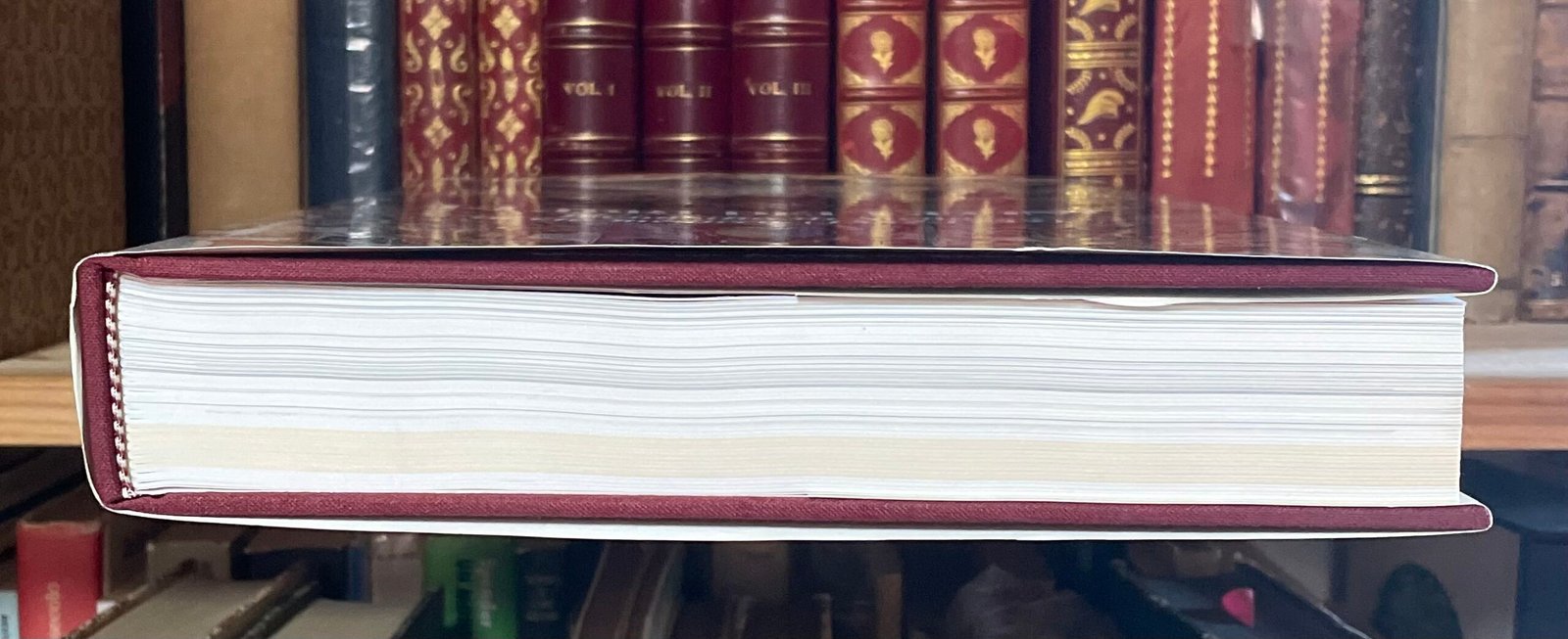 AA.VV. I libri dei leoni La nobiltà di Siena in età medicea 1557-1737 MPS 1996 - immagine 17