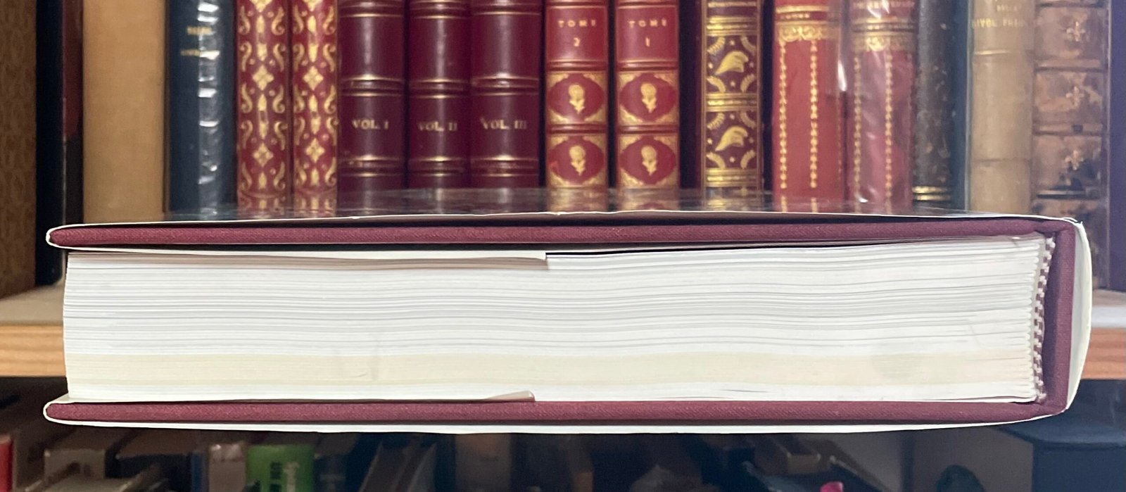 AA.VV. I libri dei leoni La nobiltà di Siena in età medicea 1557-1737 MPS 1996 - immagine 19