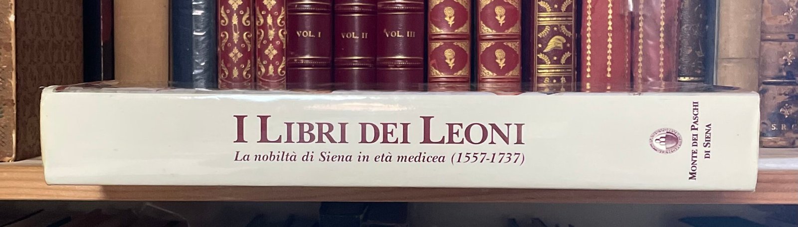 AA.VV. I libri dei leoni La nobiltà di Siena in età medicea 1557-1737 MPS 1996 - immagine 20