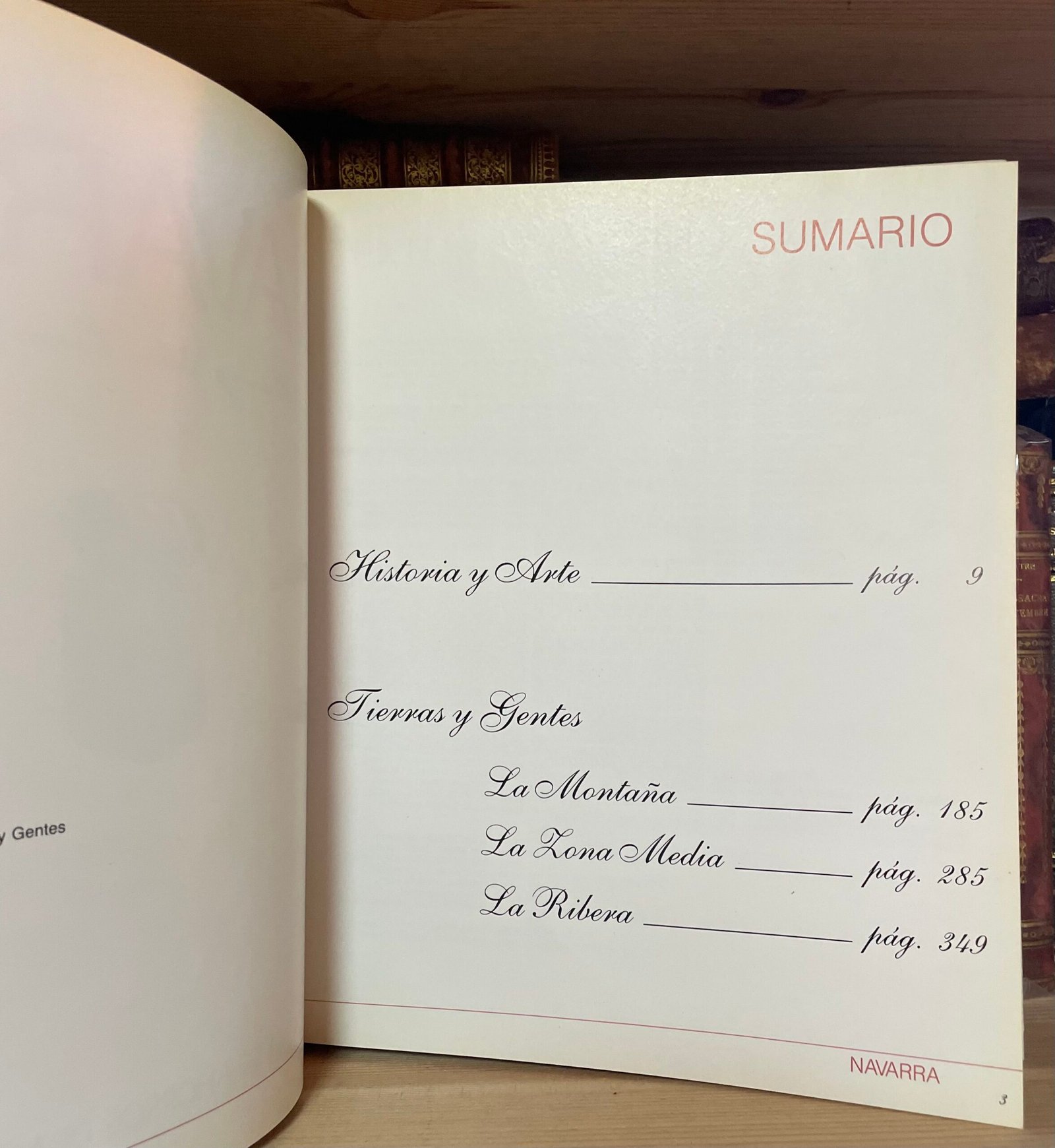 AA. VV. Navarra Historia y Arte Tierras y Gentes Caja de Ahorros 1984 - immagine 3