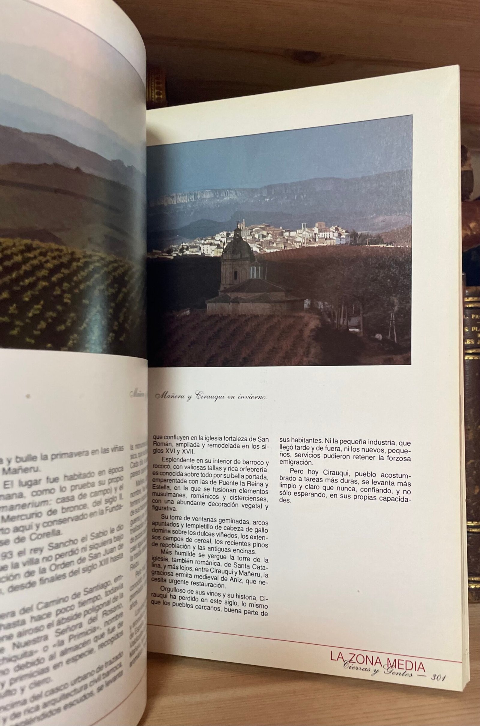 AA. VV. Navarra Historia y Arte Tierras y Gentes Caja de Ahorros 1984 - immagine 10