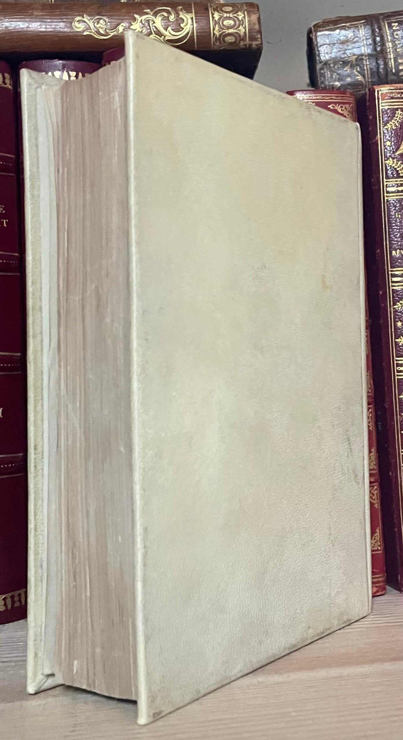 Descuret La Medicina delle passioni settima ed. milanese Ernesto Oliva 1876 - immagine 2