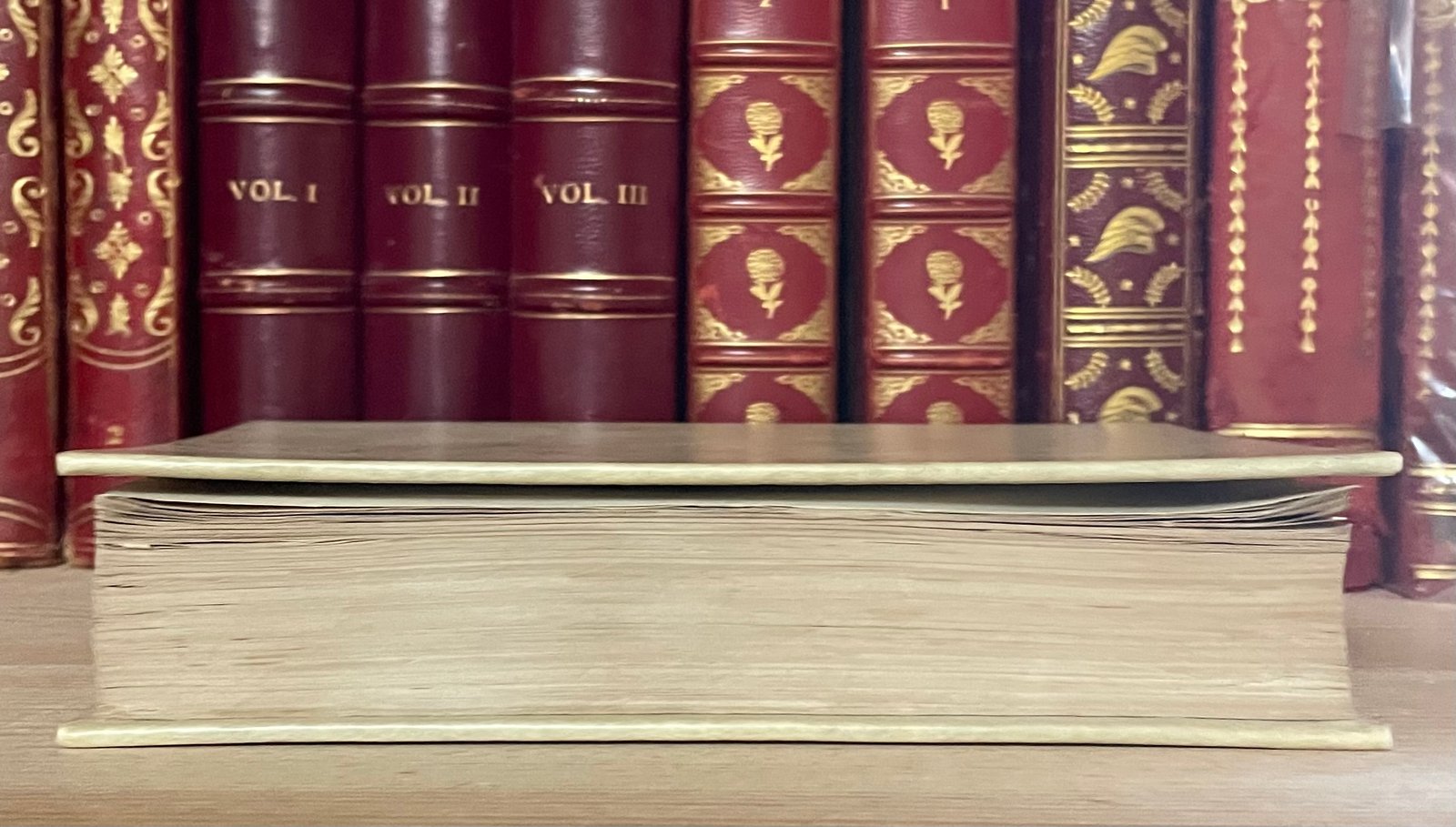 Descuret La Medicina delle passioni settima ed. milanese Ernesto Oliva 1876 - immagine 12