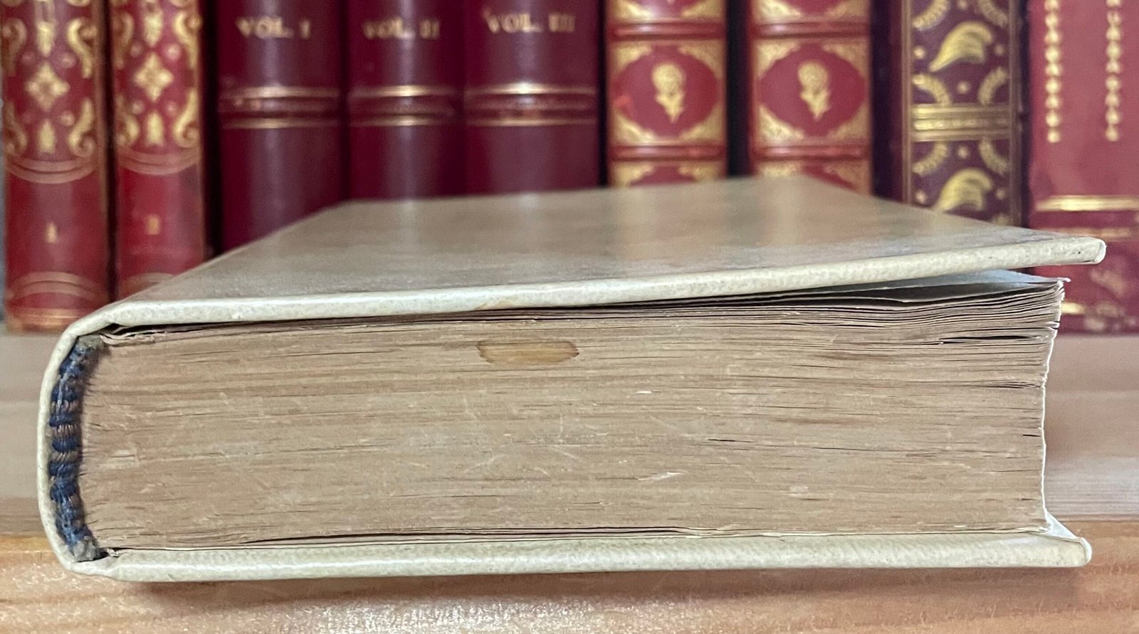 Descuret La Medicina delle passioni settima ed. milanese Ernesto Oliva 1876 - immagine 13
