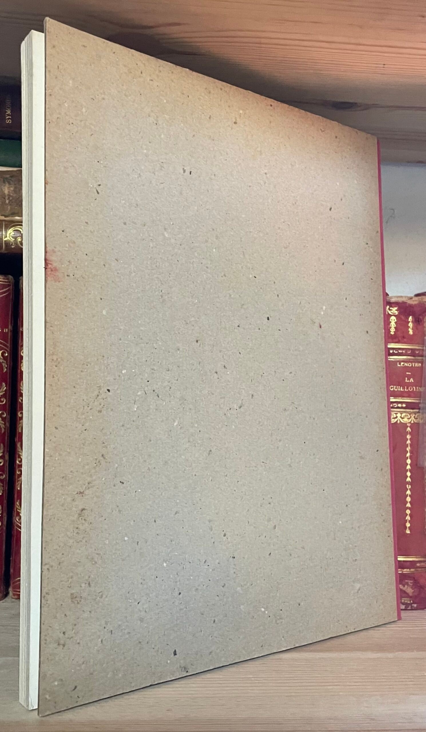 Giannattasio La pittura di visione di Corrado Cagli Tindalo 1970 - immagine 4