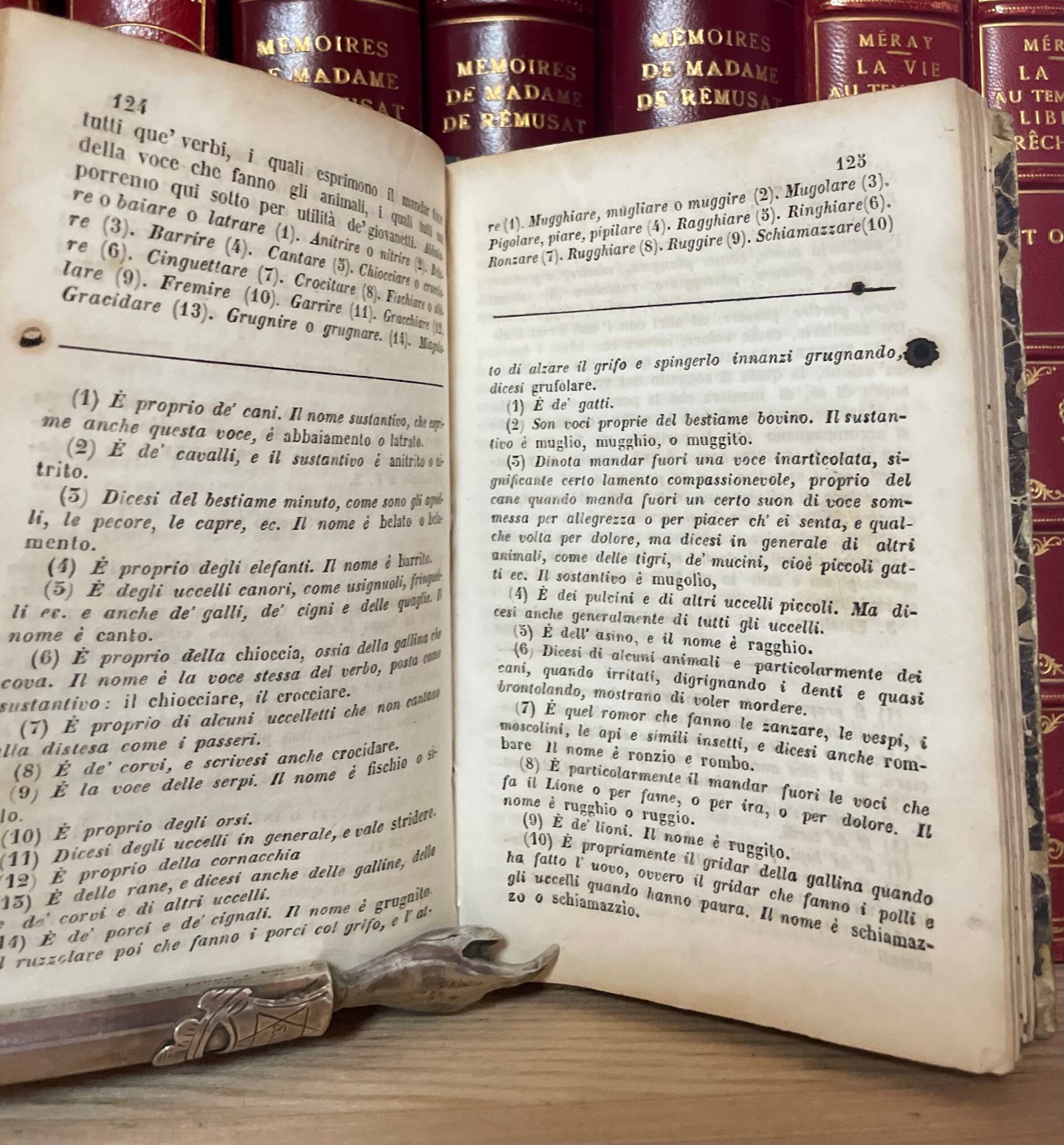 Basilio Puoti Regole elementari della lingua italiana Bordandini 1845 - immagine 10