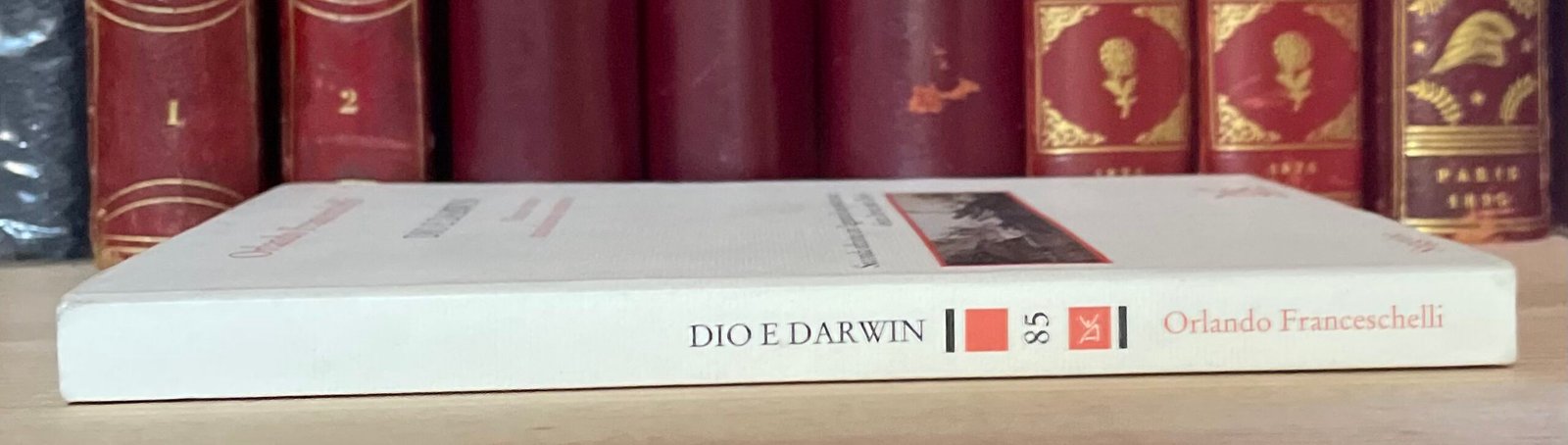 Franceschelli Dio e Darwin Natura e uomo tra evoluzione e creazione Donzelli 2005 - immagine 10
