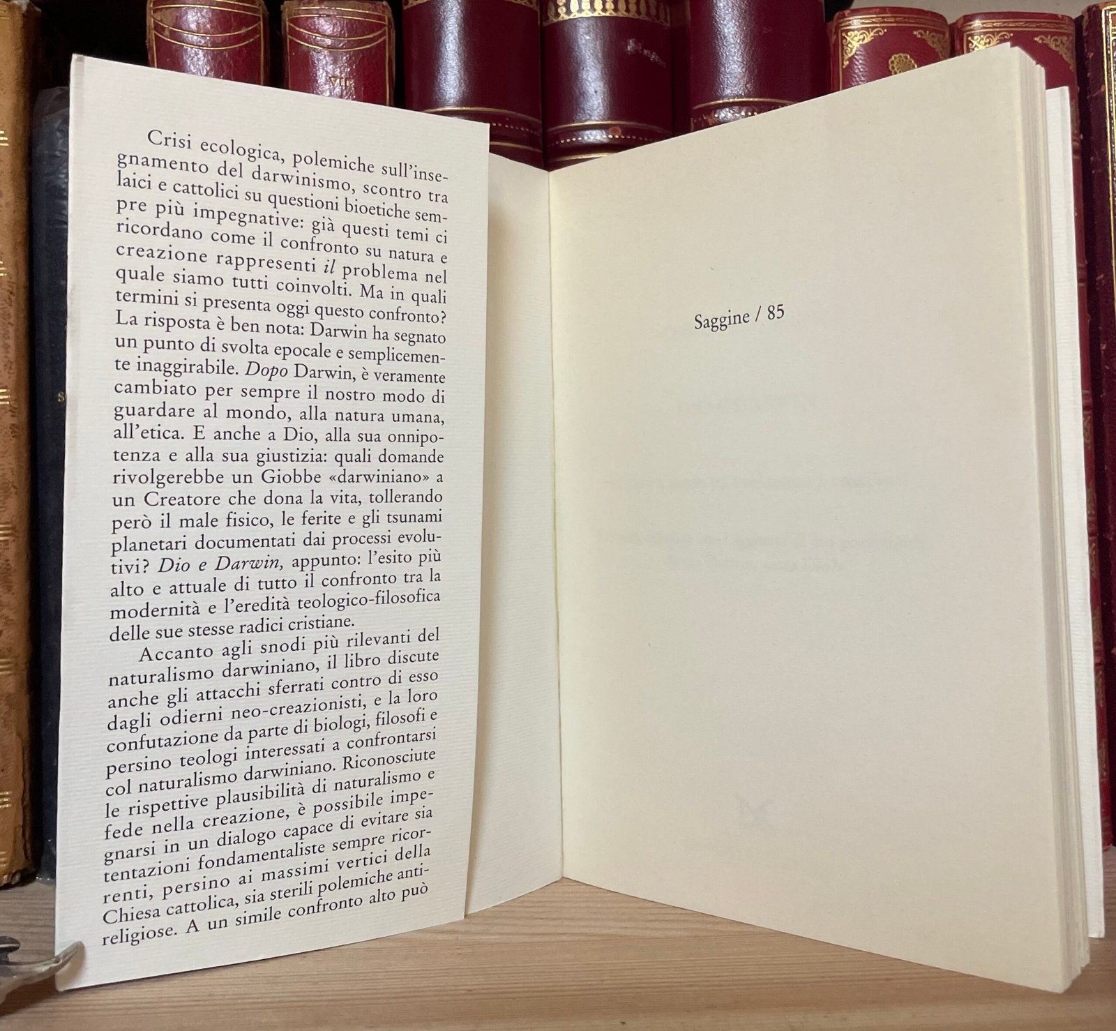 Franceschelli Dio e Darwin Natura e uomo tra evoluzione e creazione Donzelli 2005 - immagine 3