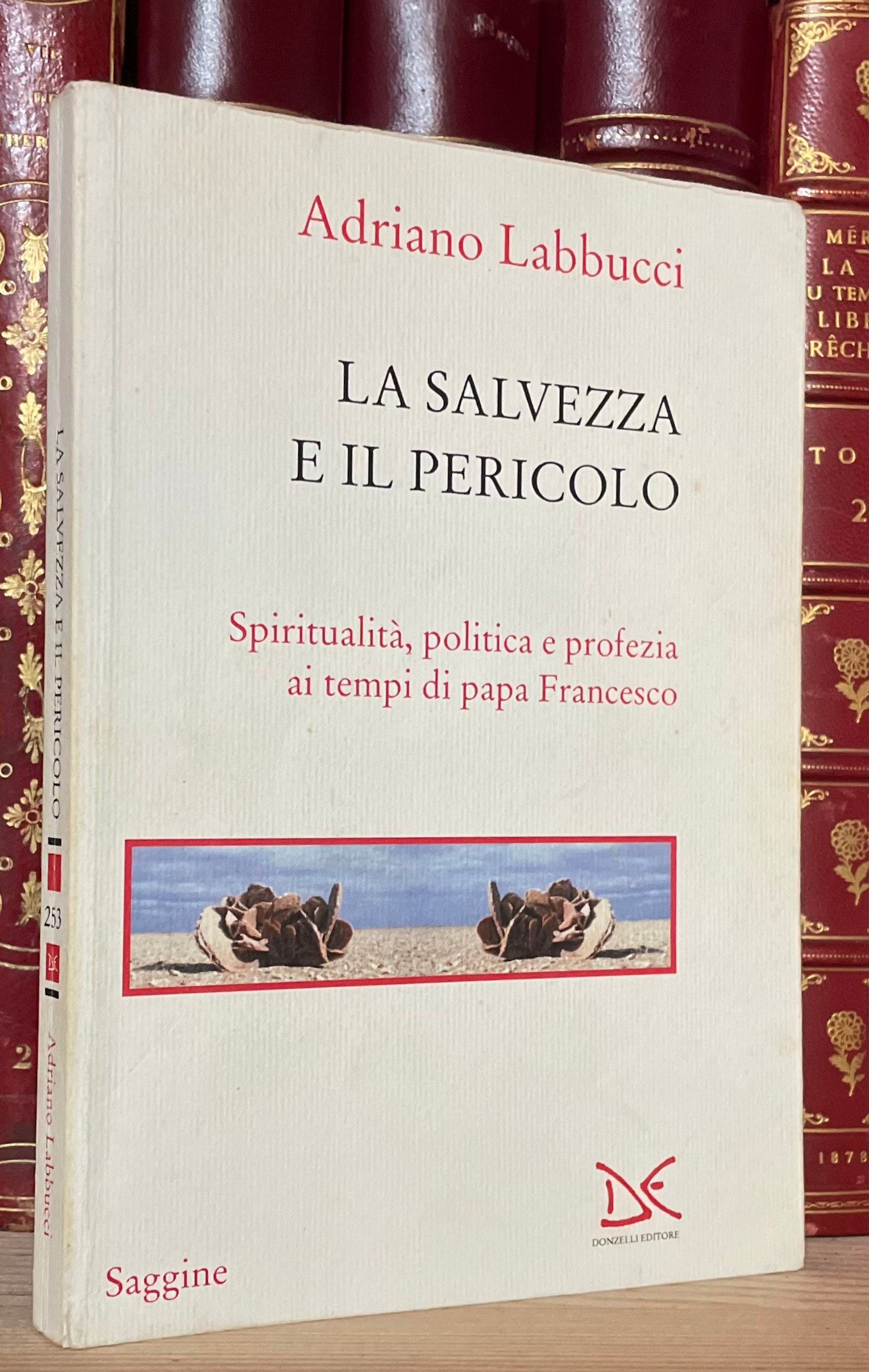 Adriano Labbucci La salvezza e il pericolo Donzelli 2015