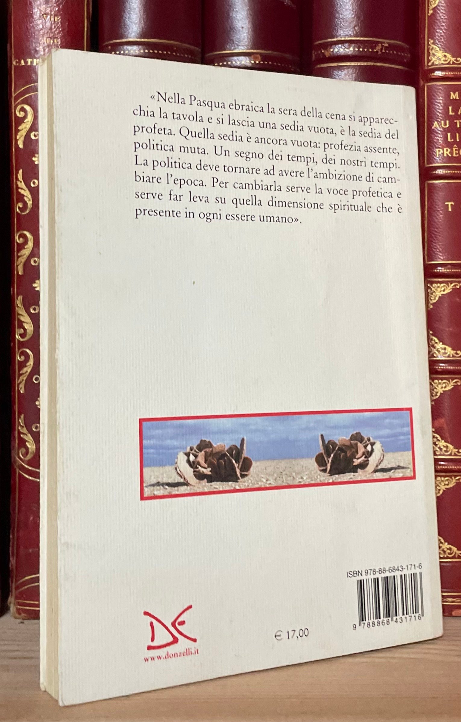 Adriano Labbucci La salvezza e il pericolo Donzelli 2015 - immagine 2