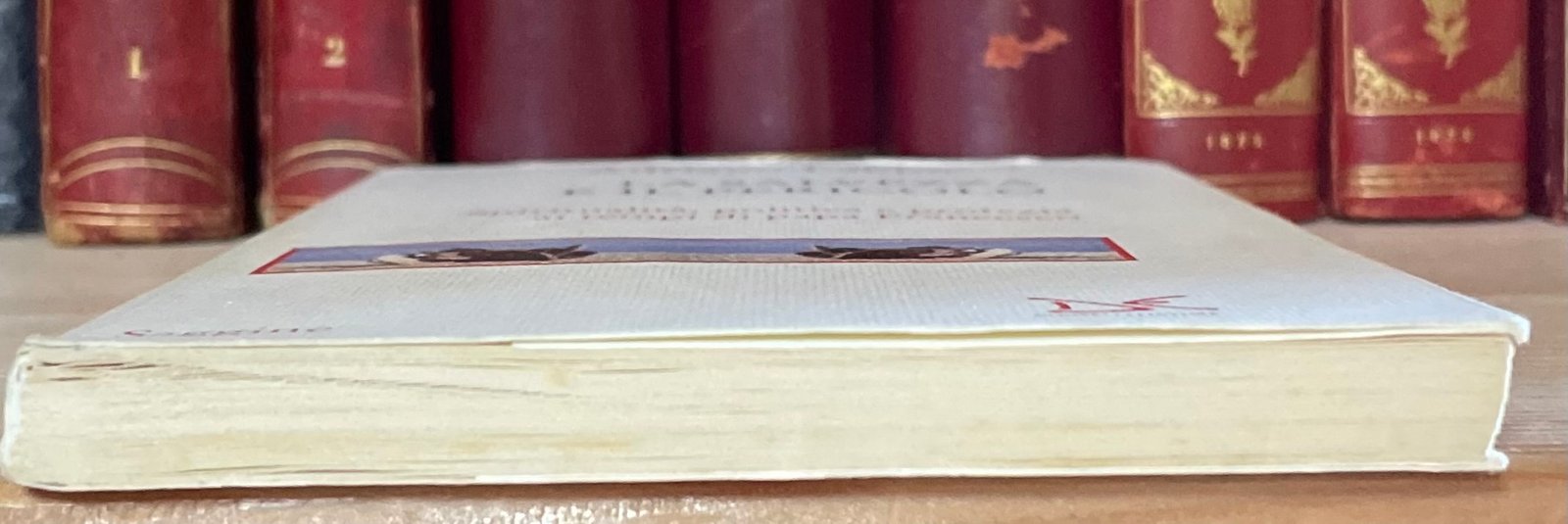 Adriano Labbucci La salvezza e il pericolo Donzelli 2015 - immagine 9