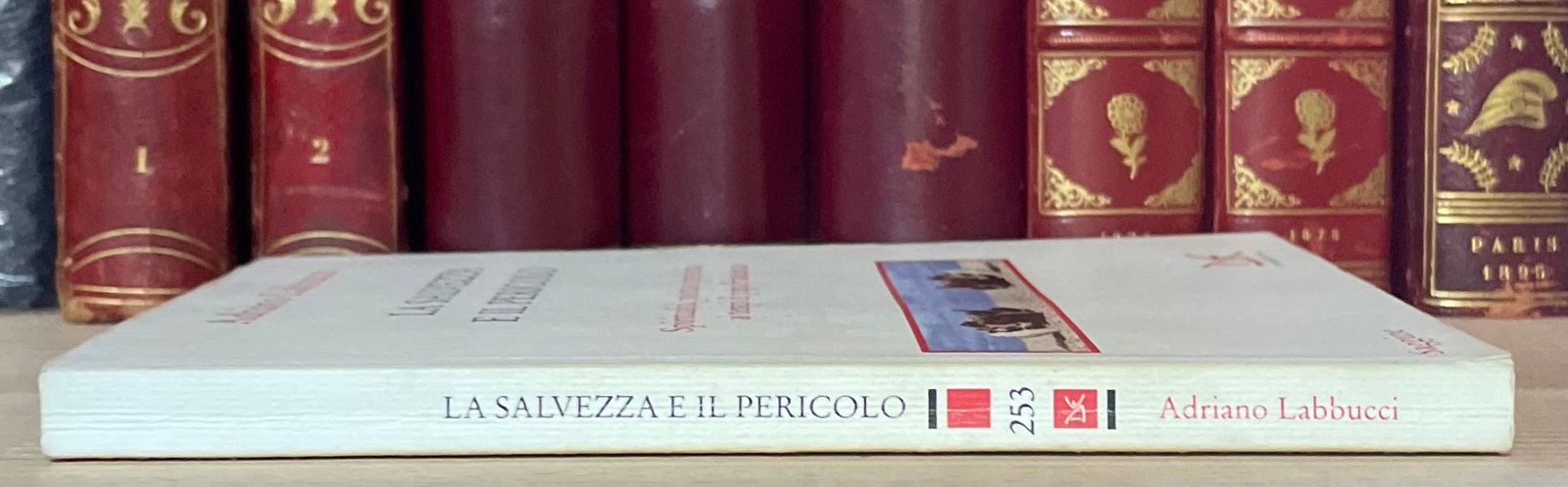 Adriano Labbucci La salvezza e il pericolo Donzelli 2015 - immagine 10