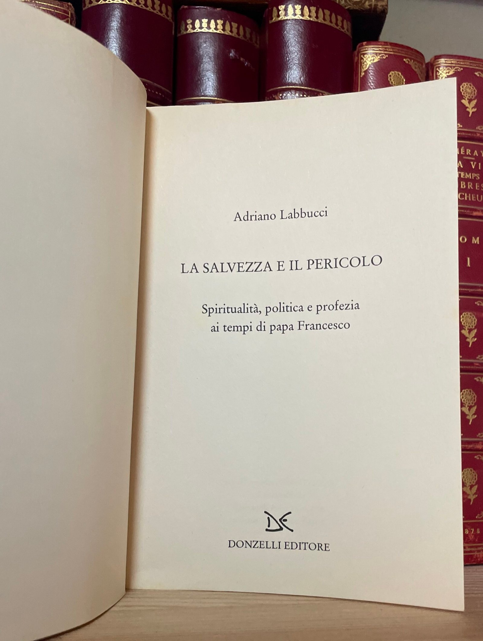 Adriano Labbucci La salvezza e il pericolo Donzelli 2015 - immagine 3