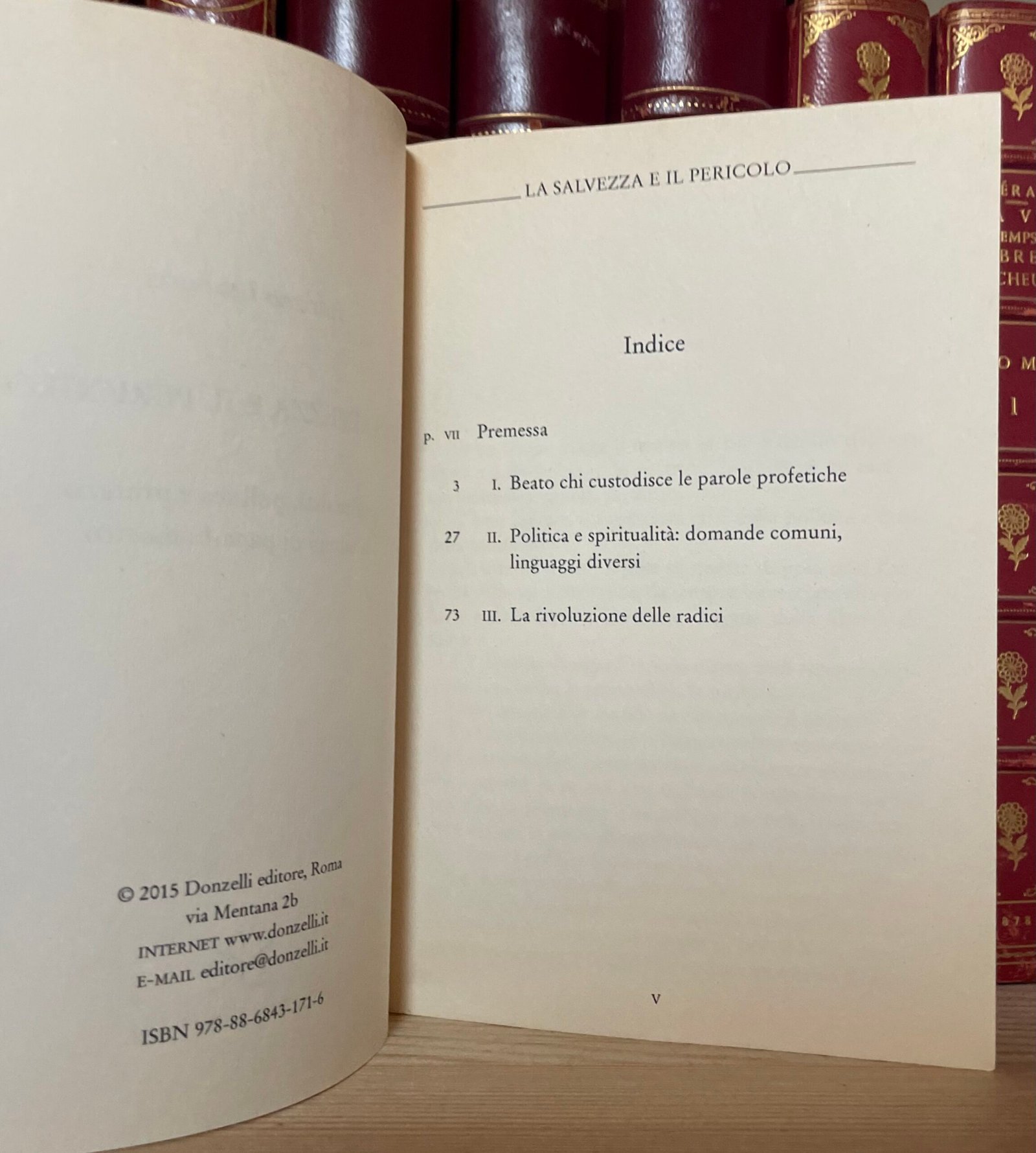 Adriano Labbucci La salvezza e il pericolo Donzelli 2015 - immagine 4