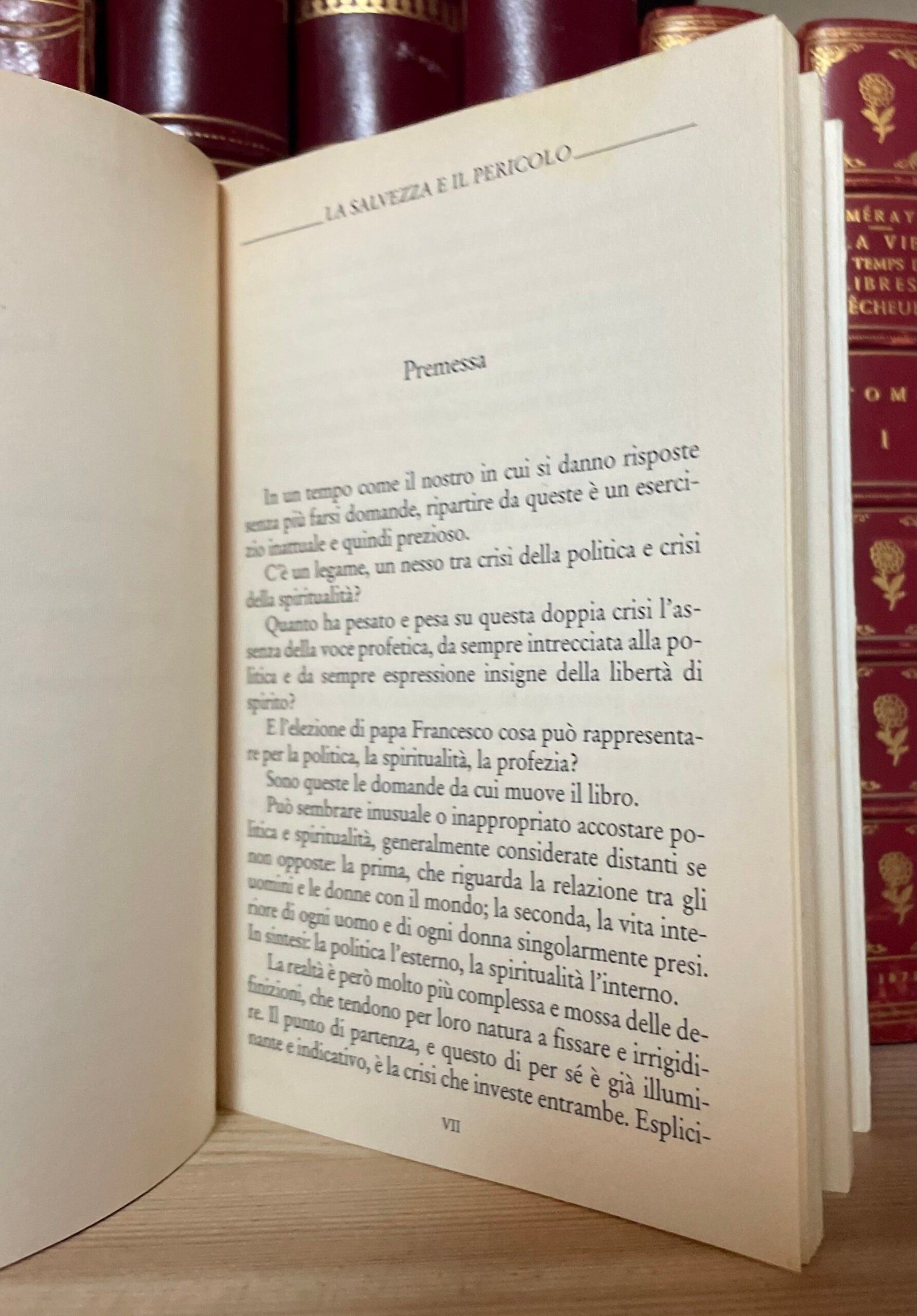 Adriano Labbucci La salvezza e il pericolo Donzelli 2015 - immagine 5