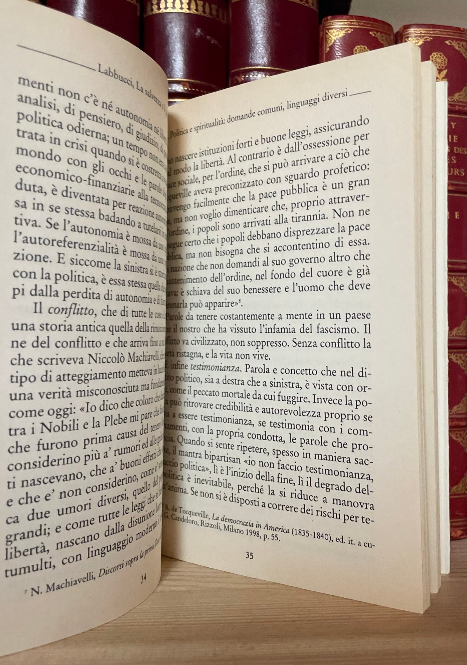 Adriano Labbucci La salvezza e il pericolo Donzelli 2015 - immagine 6