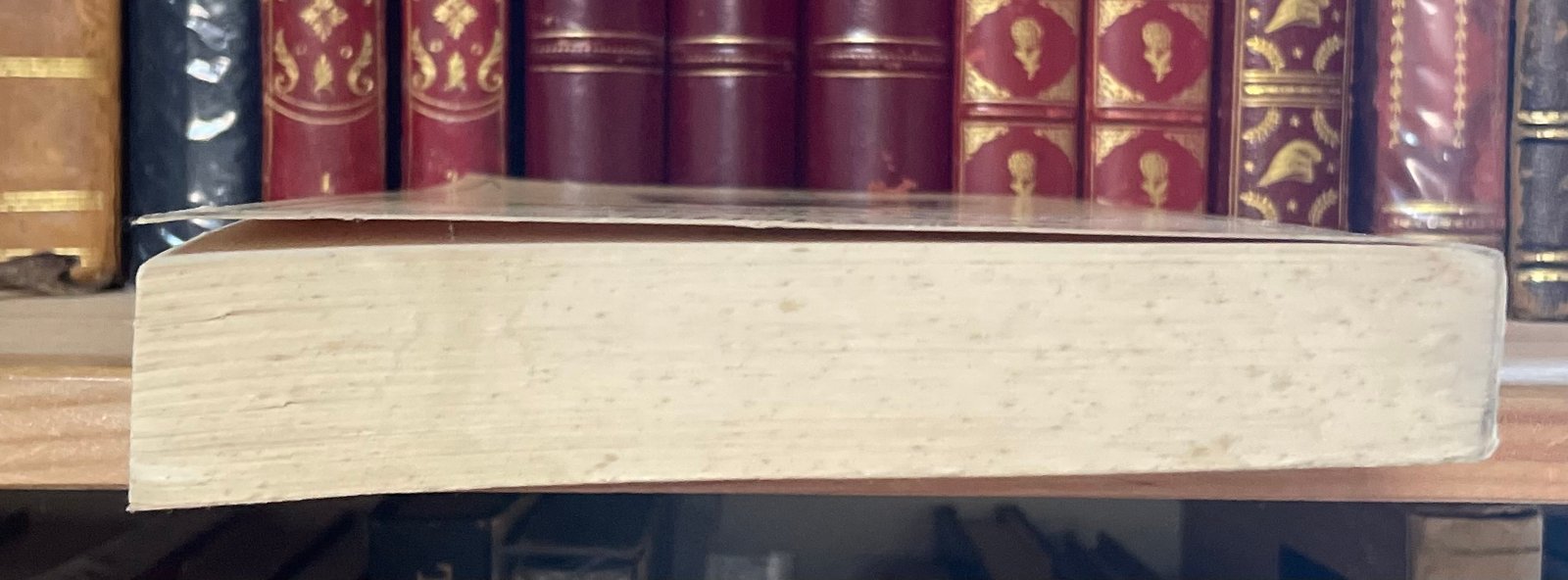 René Guénon Simboli della Scienza sacra Gli Adelphi 1990 - immagine 11
