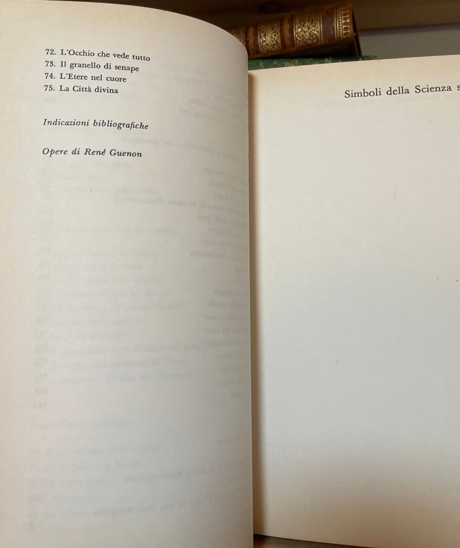 René Guénon Simboli della Scienza sacra Gli Adelphi 1990 - immagine 8