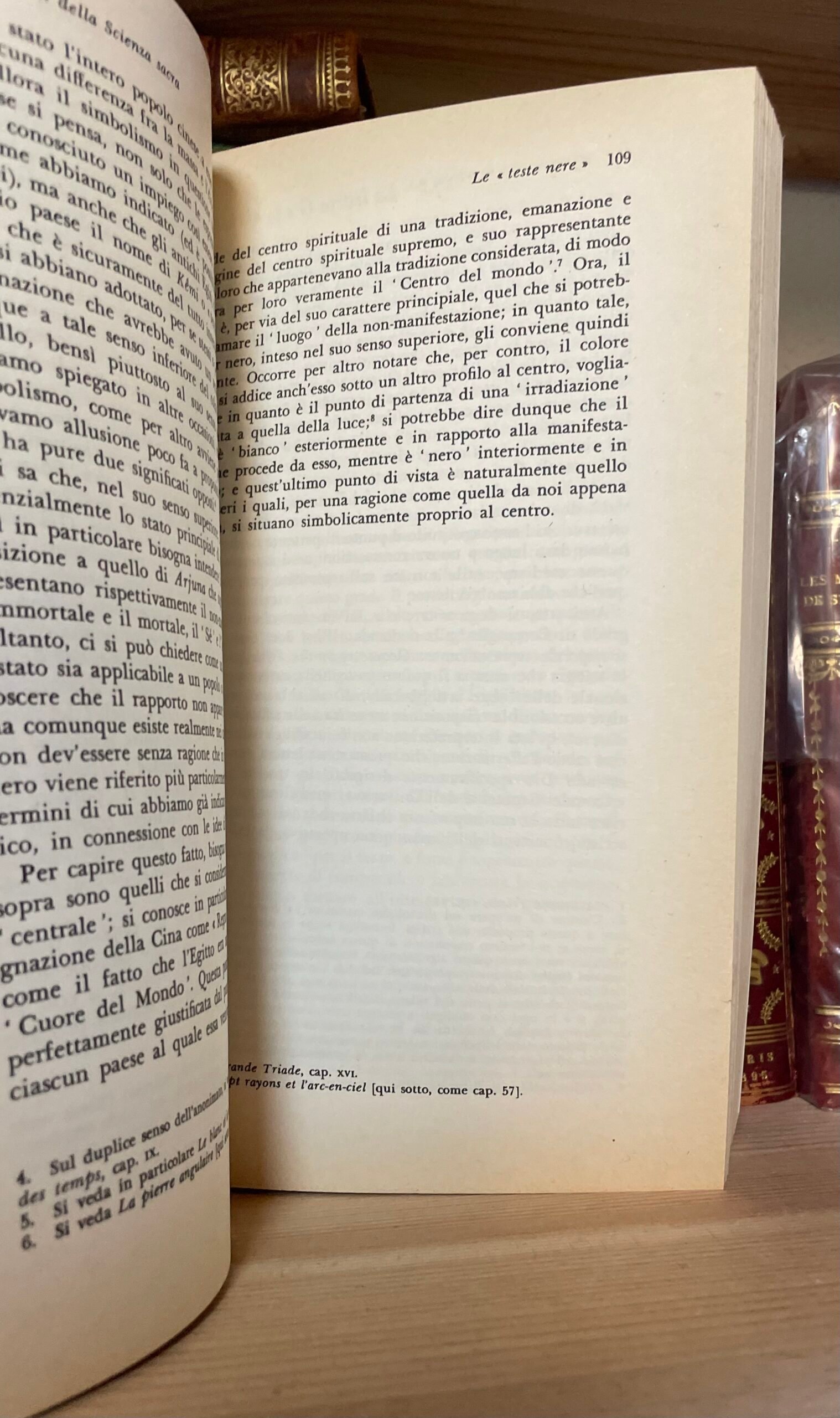 René Guénon Simboli della Scienza sacra Gli Adelphi 1990 - immagine 10