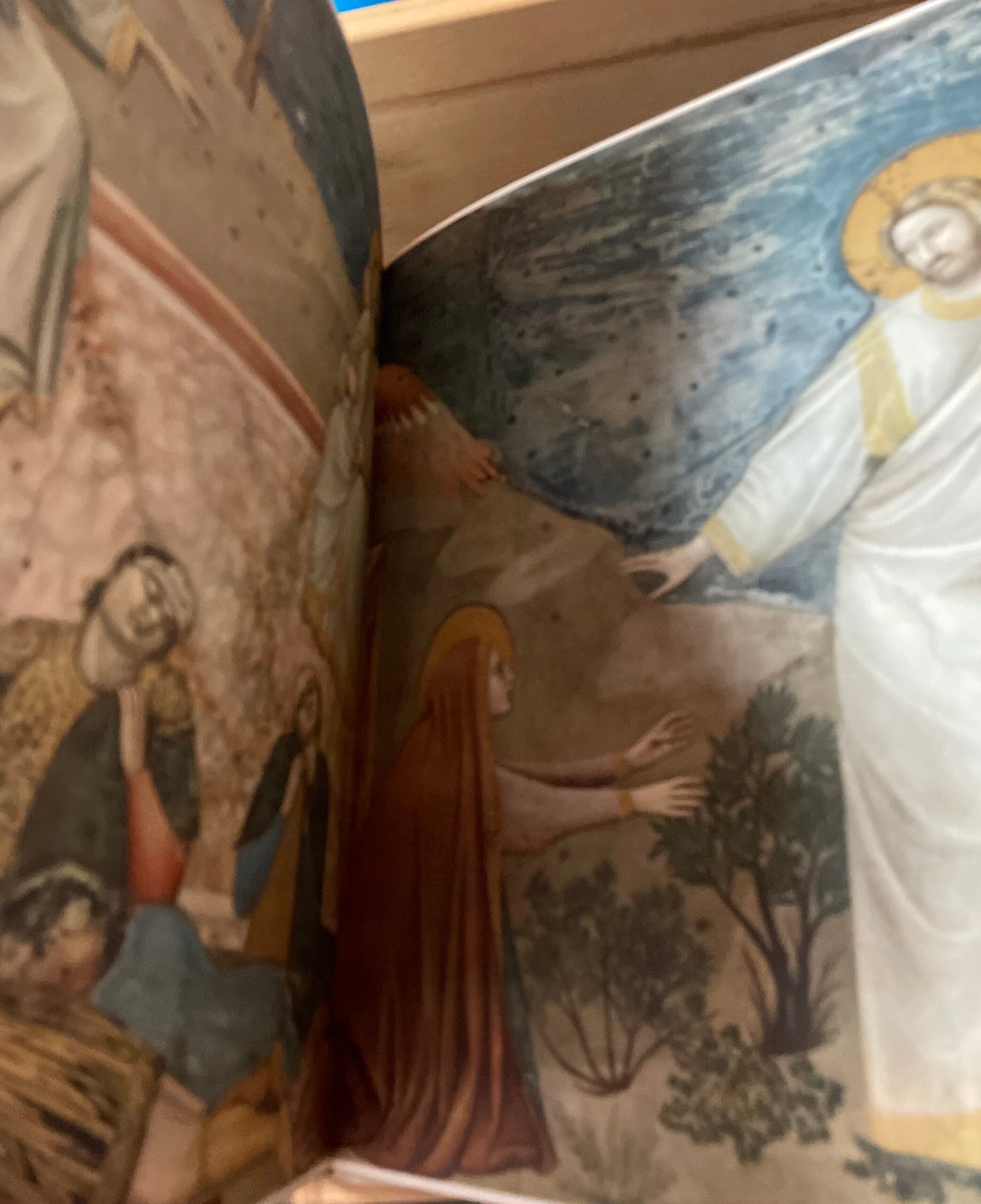Giotto la Cappella degli Scrovegni testo Carlo Carrà Amilcare Pizzi 1946 - immagine 5