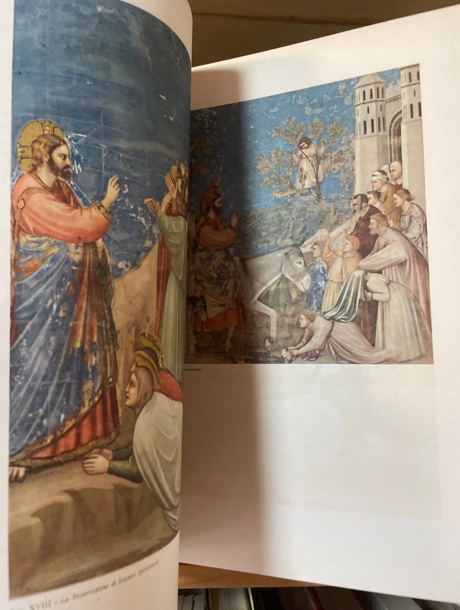 Giotto la Cappella degli Scrovegni testo Carlo Carrà Amilcare Pizzi 1946 - immagine 7