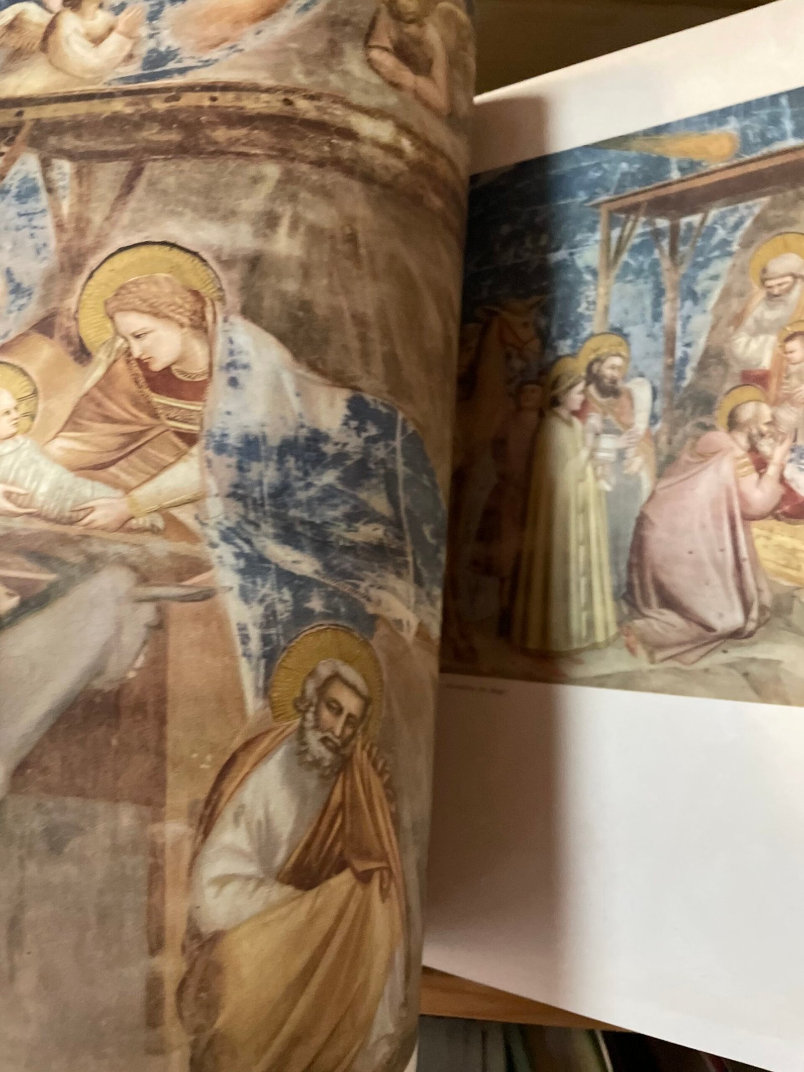 Giotto la Cappella degli Scrovegni testo Carlo Carrà Amilcare Pizzi 1946 - immagine 8