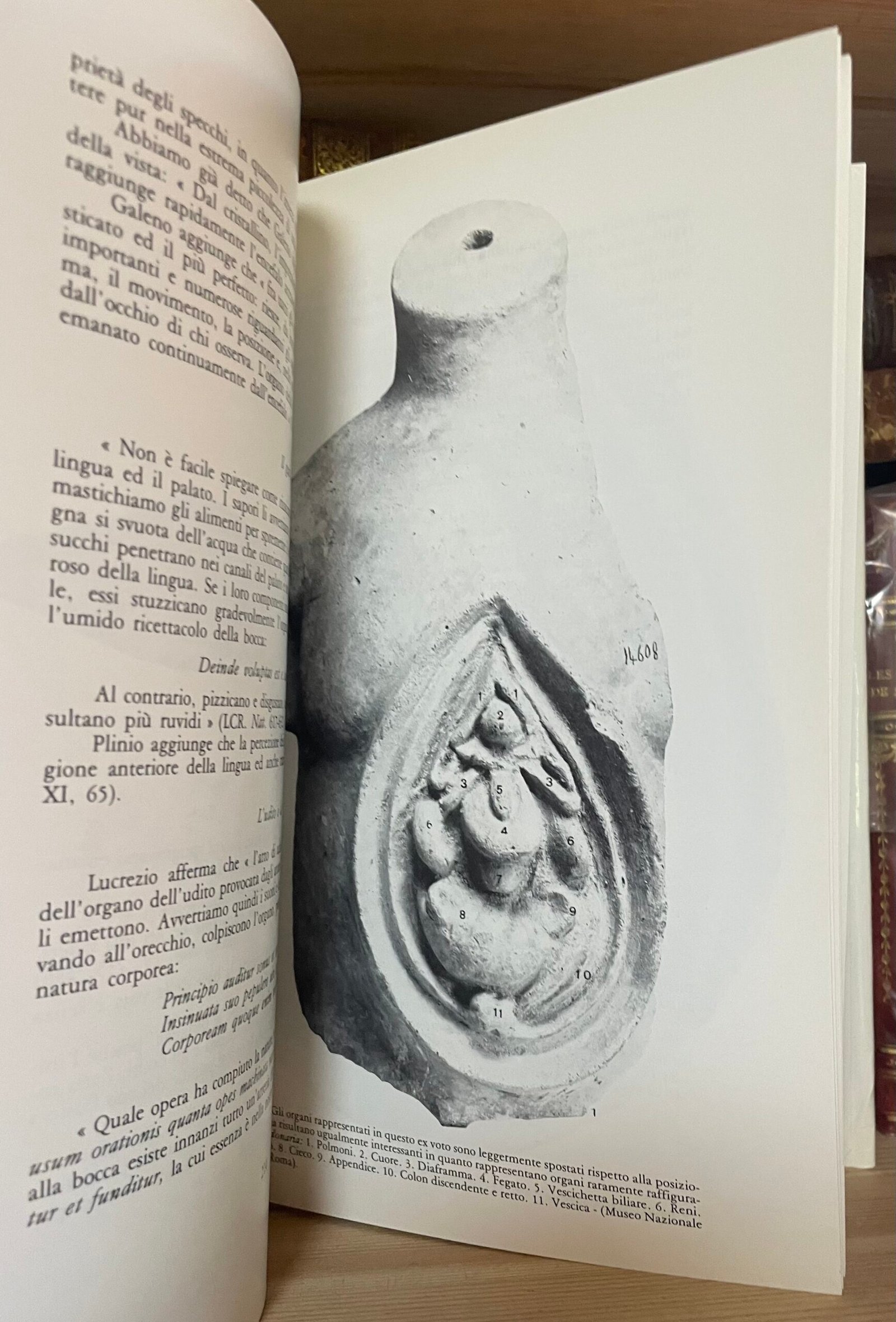 Penso La medicina romana l'arte di Esculapio nell'antica Roma Ciba-Geigy 1985 - immagine 13
