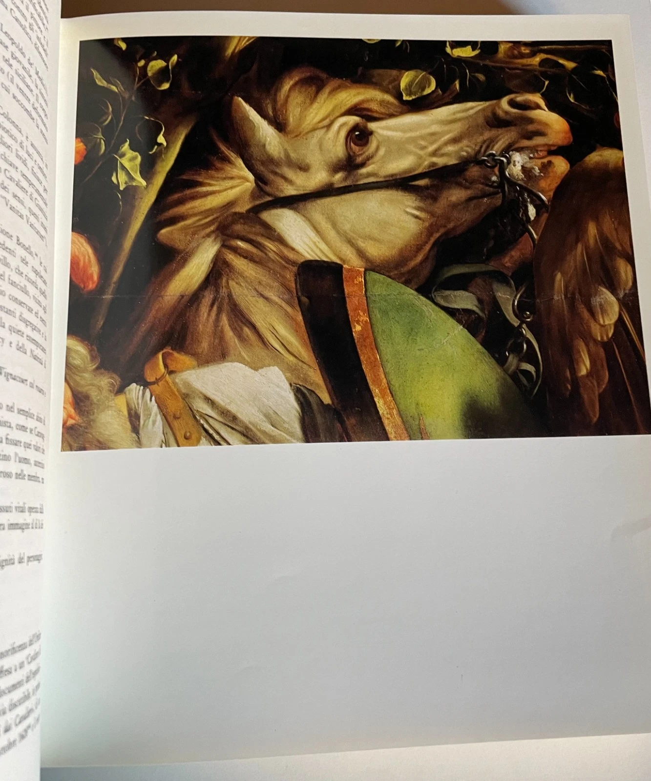 Io Michelangelo da Caravaggio Studio B di Bestetti e Bozzi 1974 seconda edizione - immagine 11