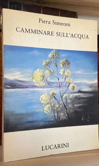 Piera Simeoni Camminare sull'Acqua Lucarini 1984 Galleria la Gradiva
