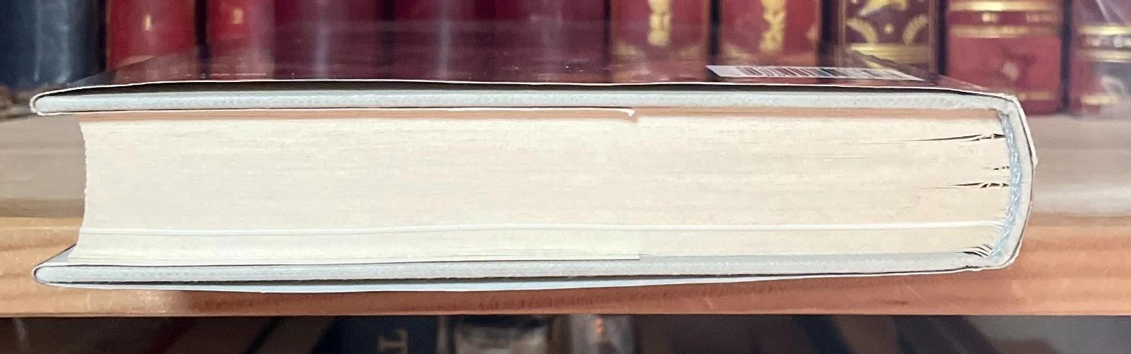 Sterpellone i Santi e la medicina medici taumaturghi protettori Ed. San Paolo - immagine 10