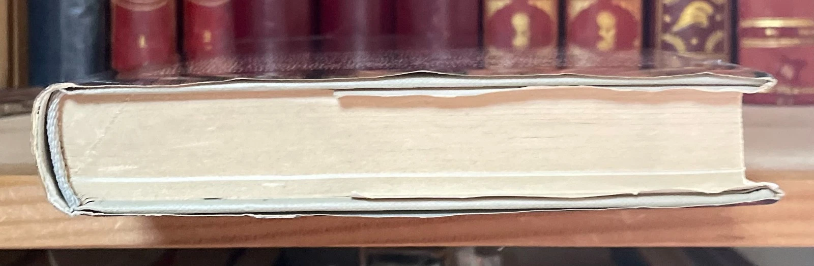 Sterpellone i Santi e la medicina medici taumaturghi protettori Ed. San Paolo - immagine 12