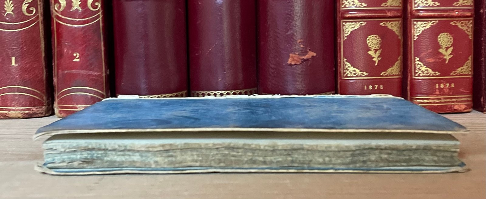 Il Piacentino istruito nelle cose della sua patria per l'anno 1851 del Majno - immagine 14