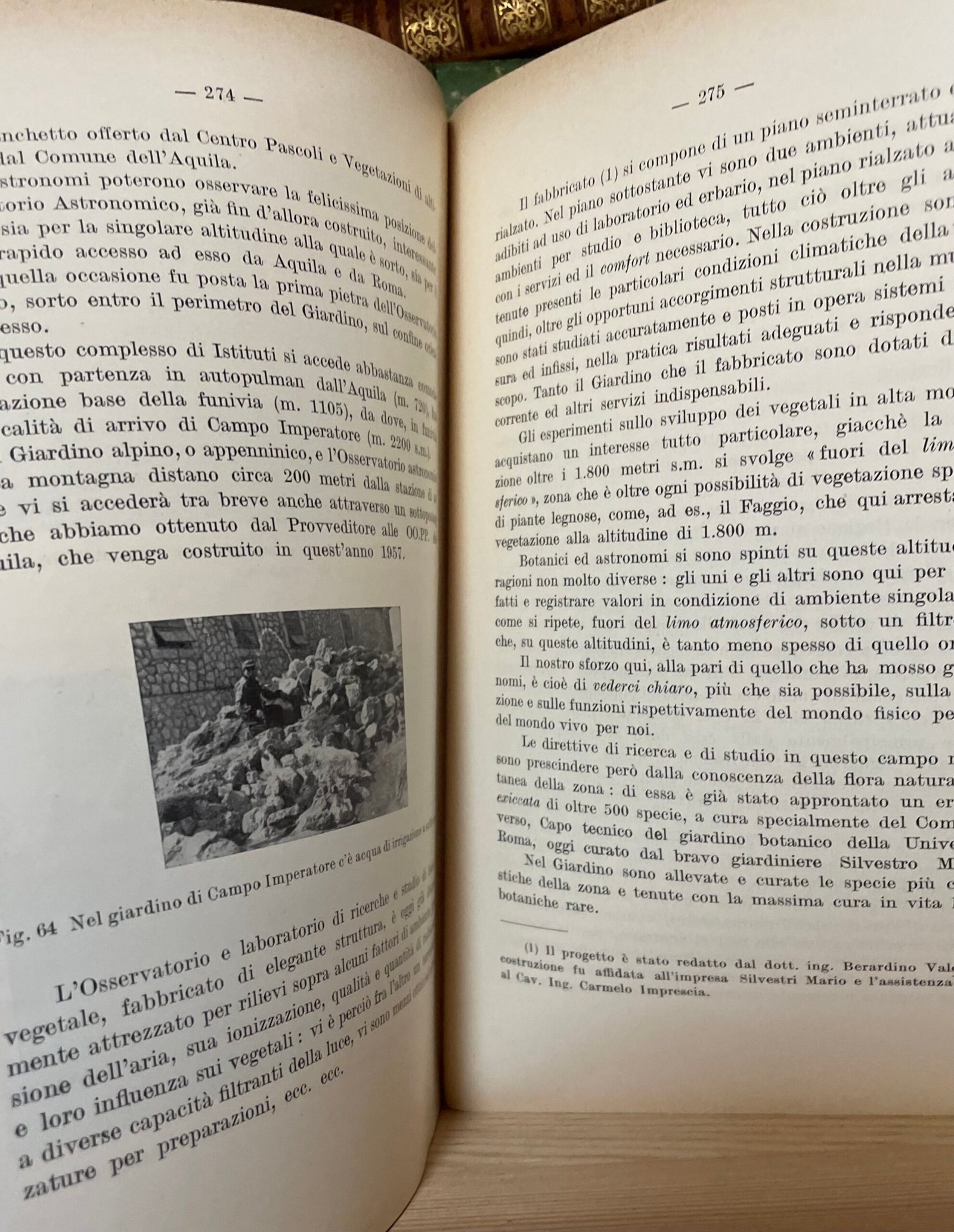 Annuario delle istituzioni di alta cultura sorte nella città dell'Aquila 1948-57 - immagine 6