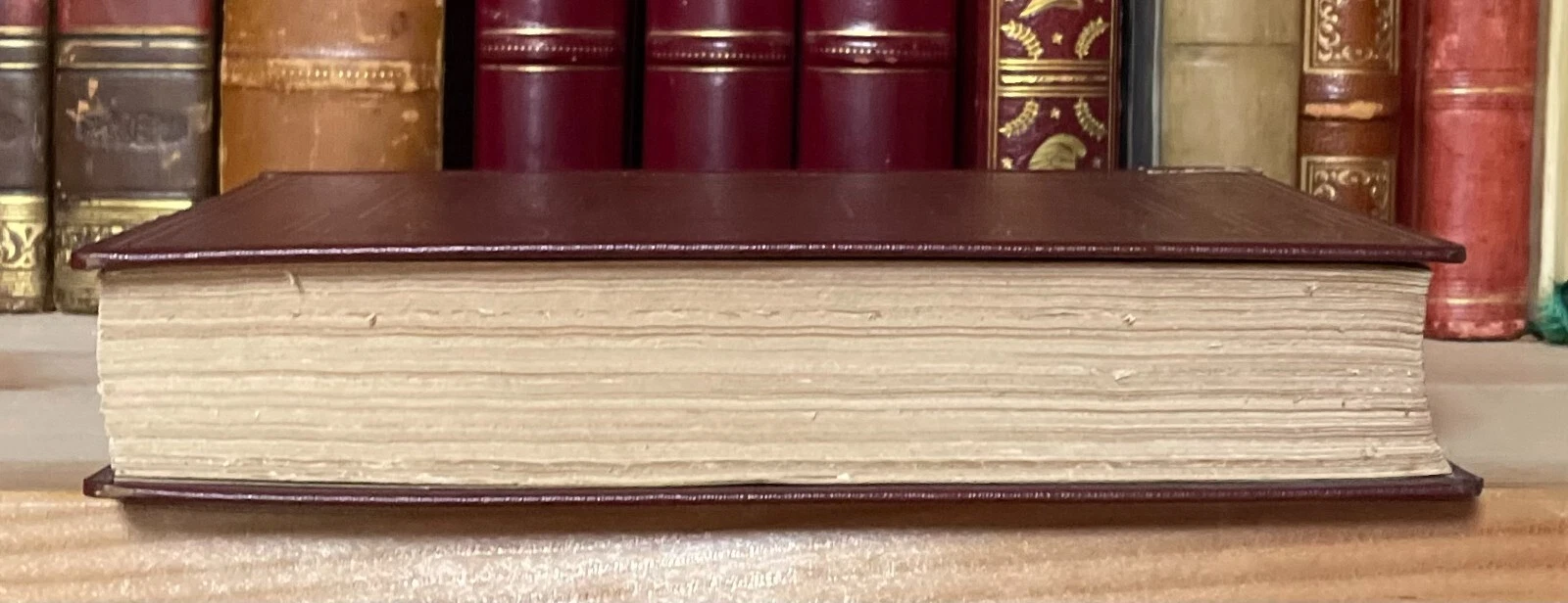 Prose Di Giosuè Carducci 1849 - 1903 - Edizione Definitiva Zanichelli 1950 - immagine 11
