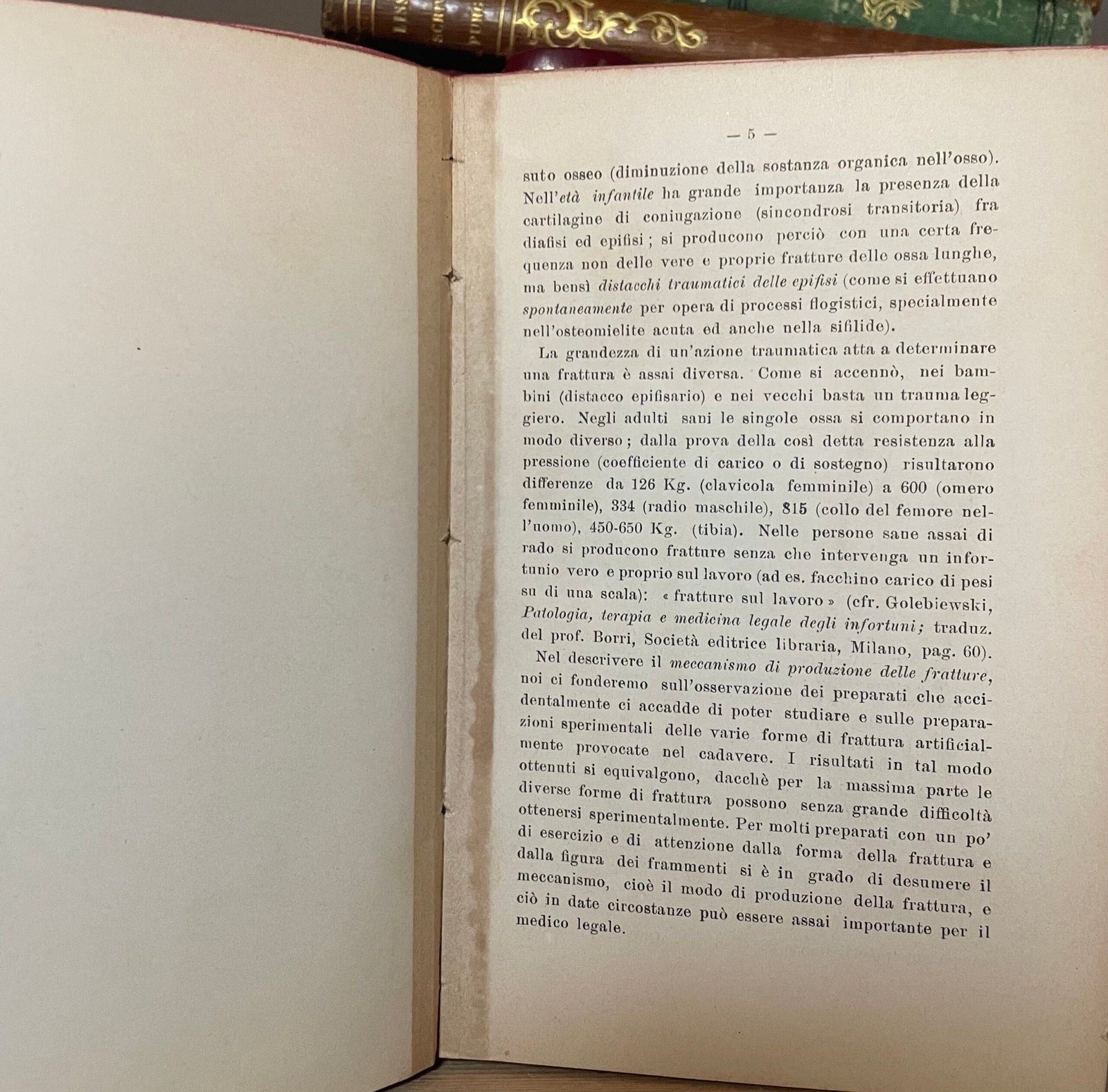 Helferich Atlante e compendio delle fratture e lussazioni traumatiche 1908 - immagine 16