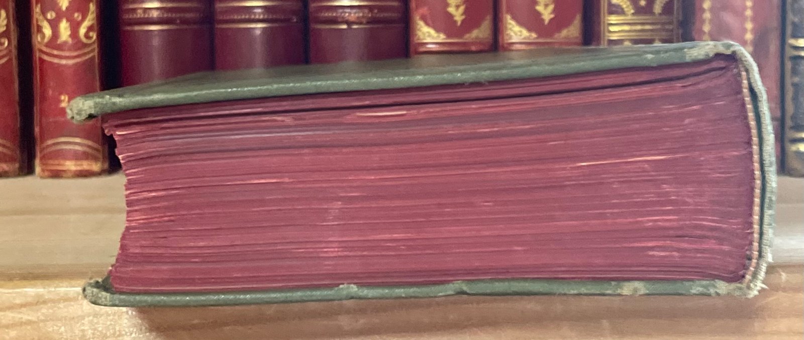 Helferich Atlante e compendio delle fratture e lussazioni traumatiche 1908 - immagine 28