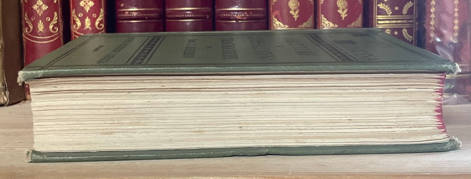 Helferich Atlante e compendio delle fratture e lussazioni traumatiche 1908 - immagine 29